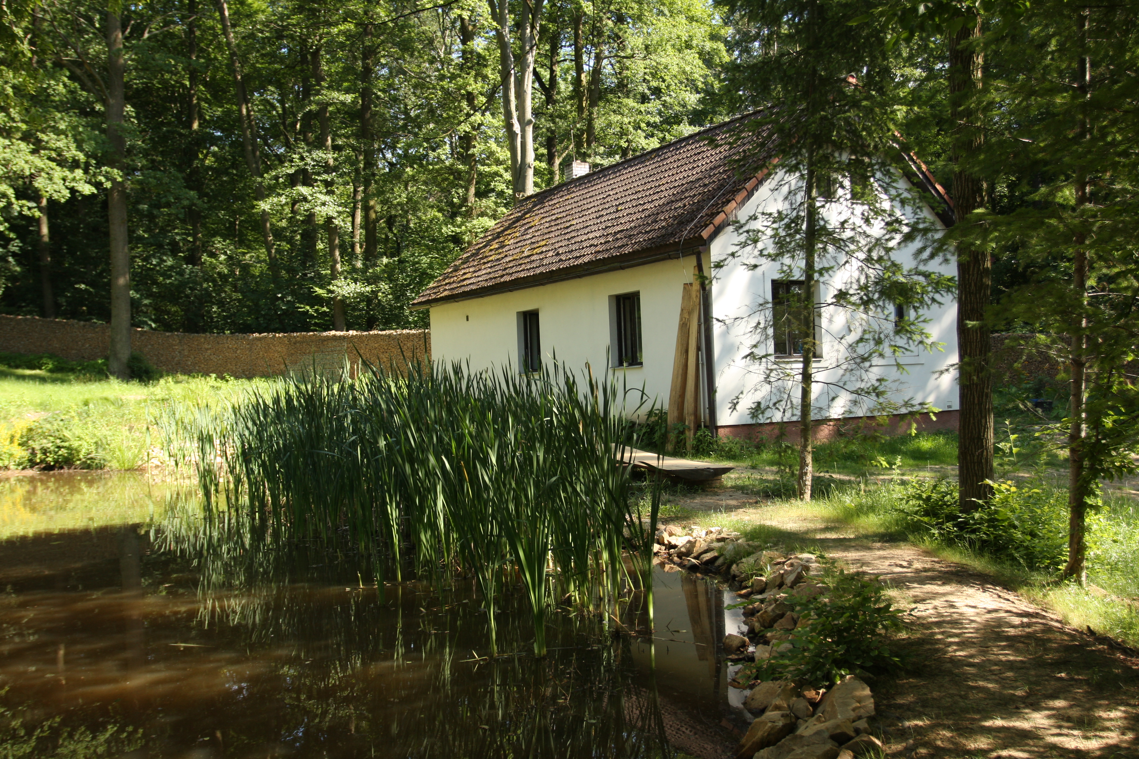 ŽIVÁ Velryba foto 2