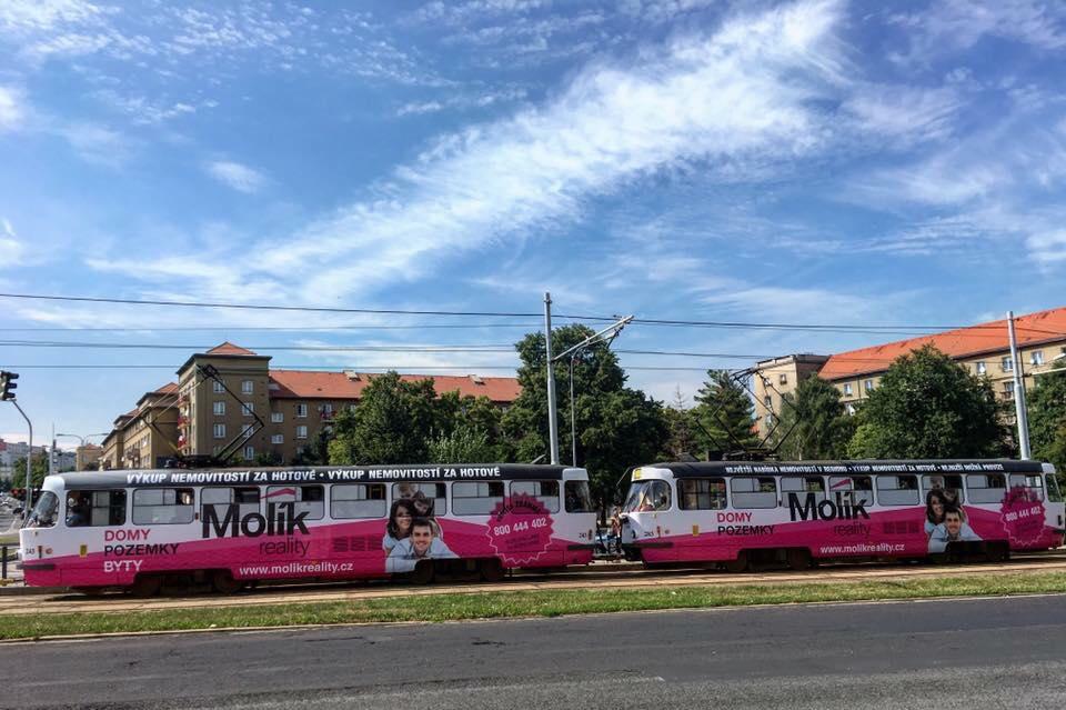 Molík reality - jednička v oblasti realit