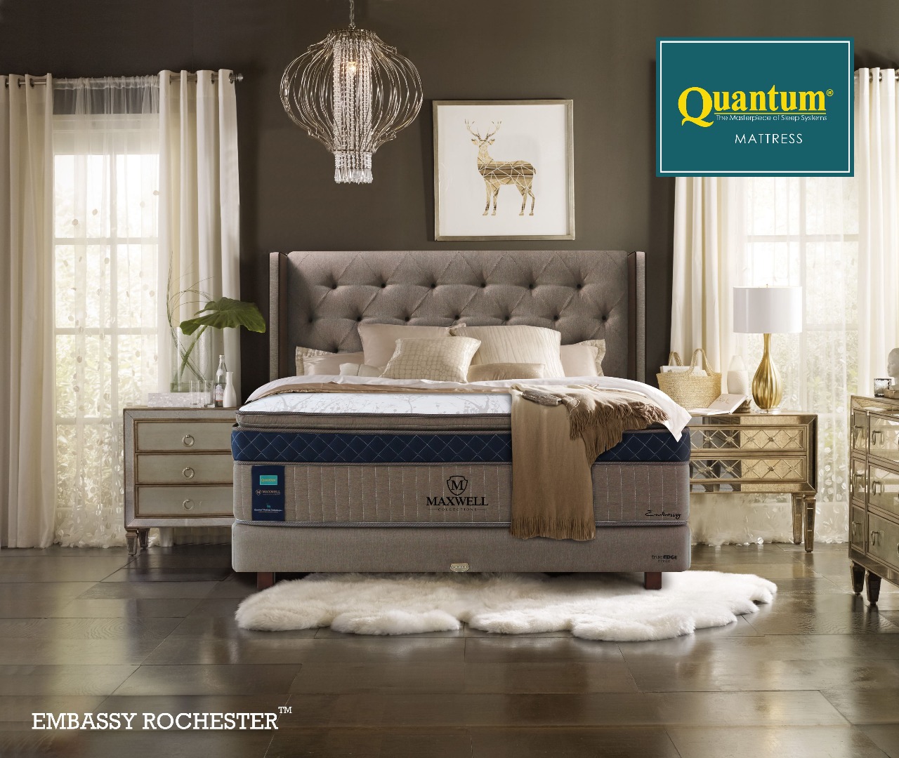 Quantum foto 2