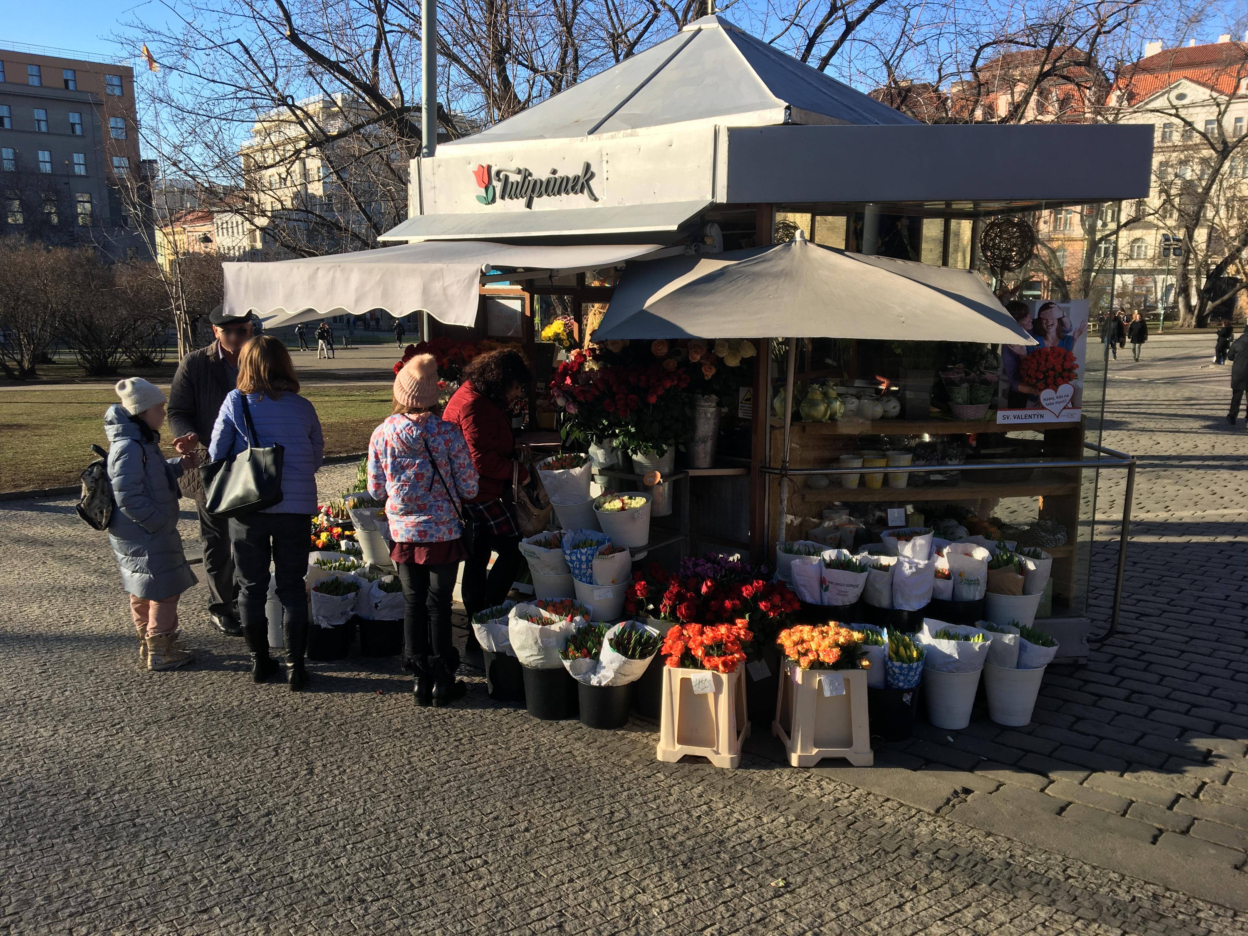 Tulipánek.cz foto 2