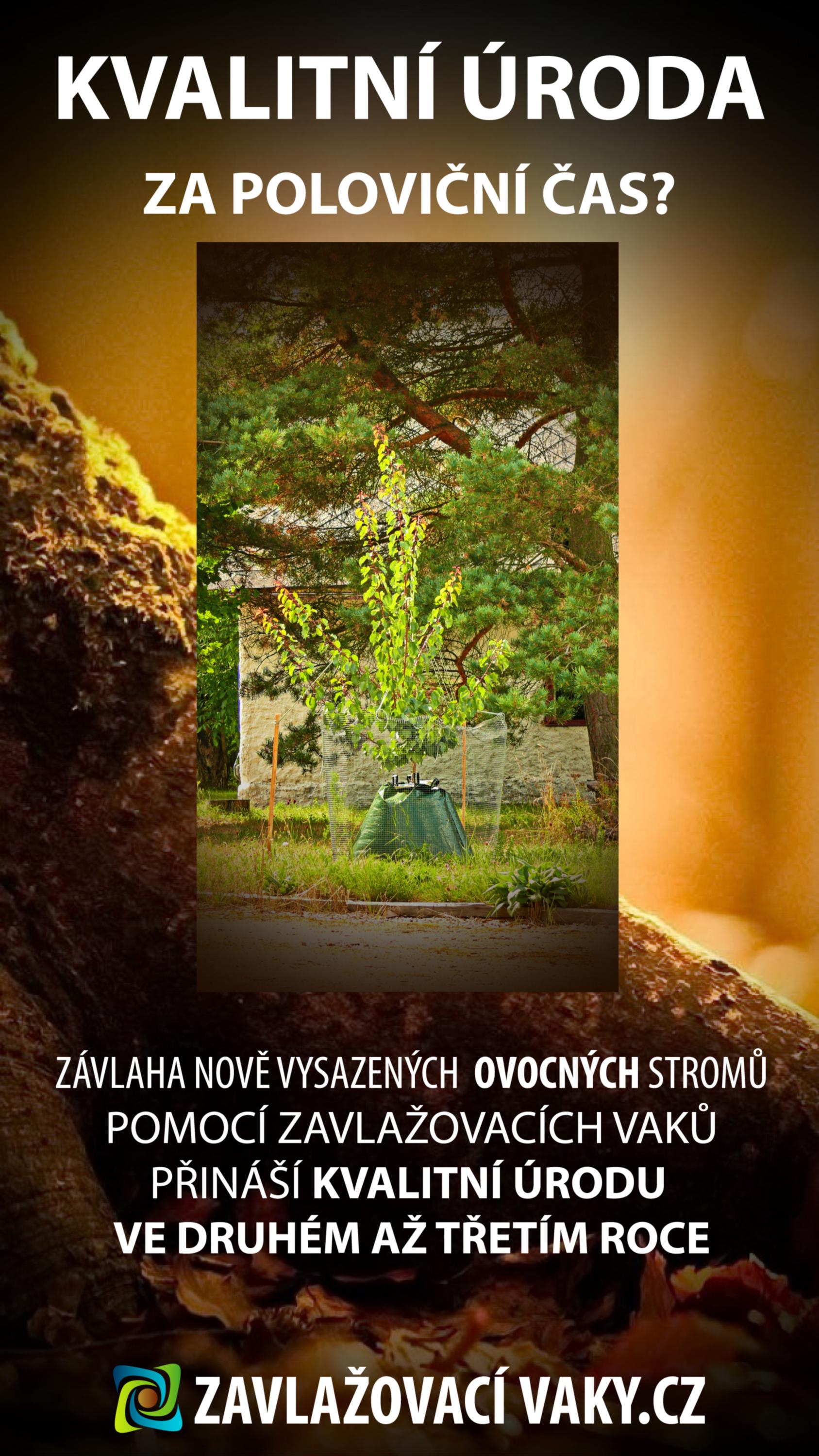 ZAVLAŽOVACÍ VAKY.CZ pro závlahu stromů a keřů foto 2