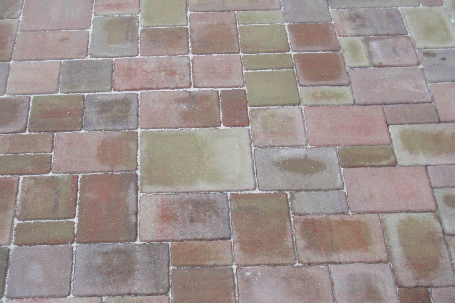 Dlažba Pokorný foto 1