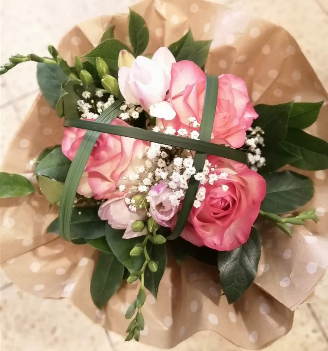 Romana Mikulčíková foto 3