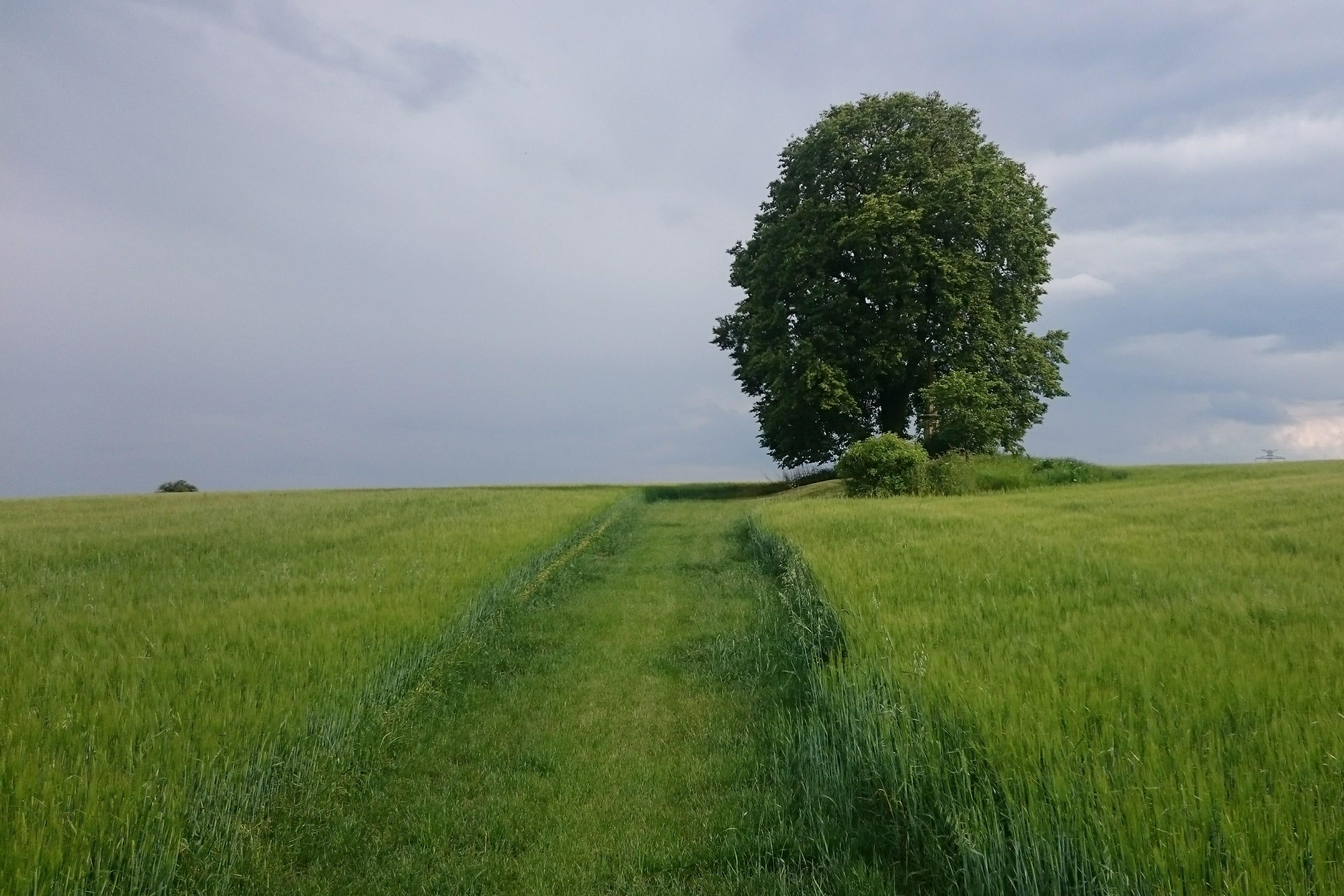 Znalecký posudek na ocenění pozemků