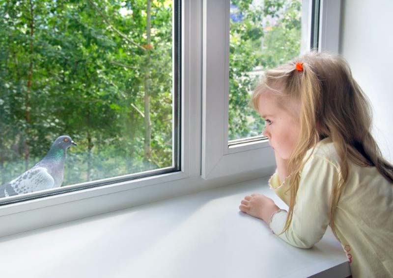 Okna Macek - okna, dveře, vrata foto 6