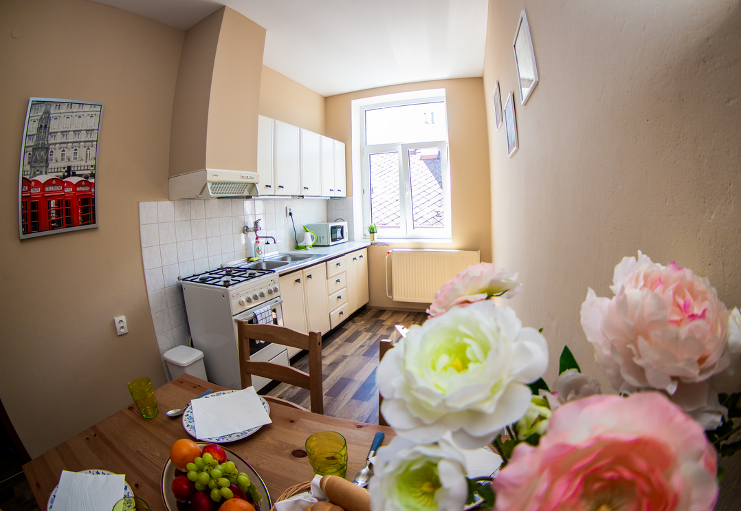 Apartmány U krále foto 4