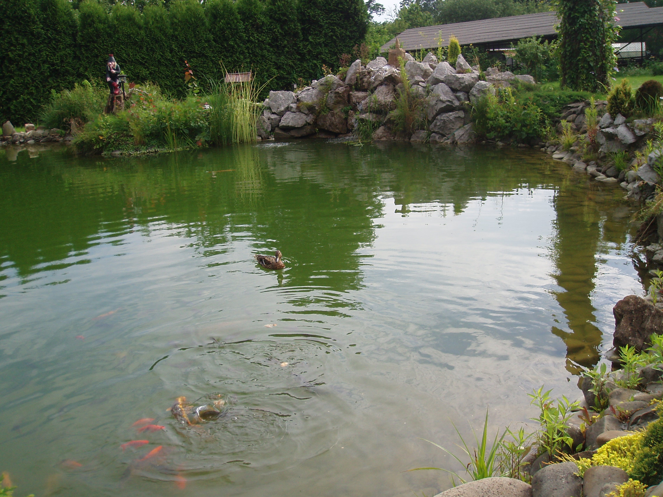 Zahradní práce Hajas Juraj foto 2