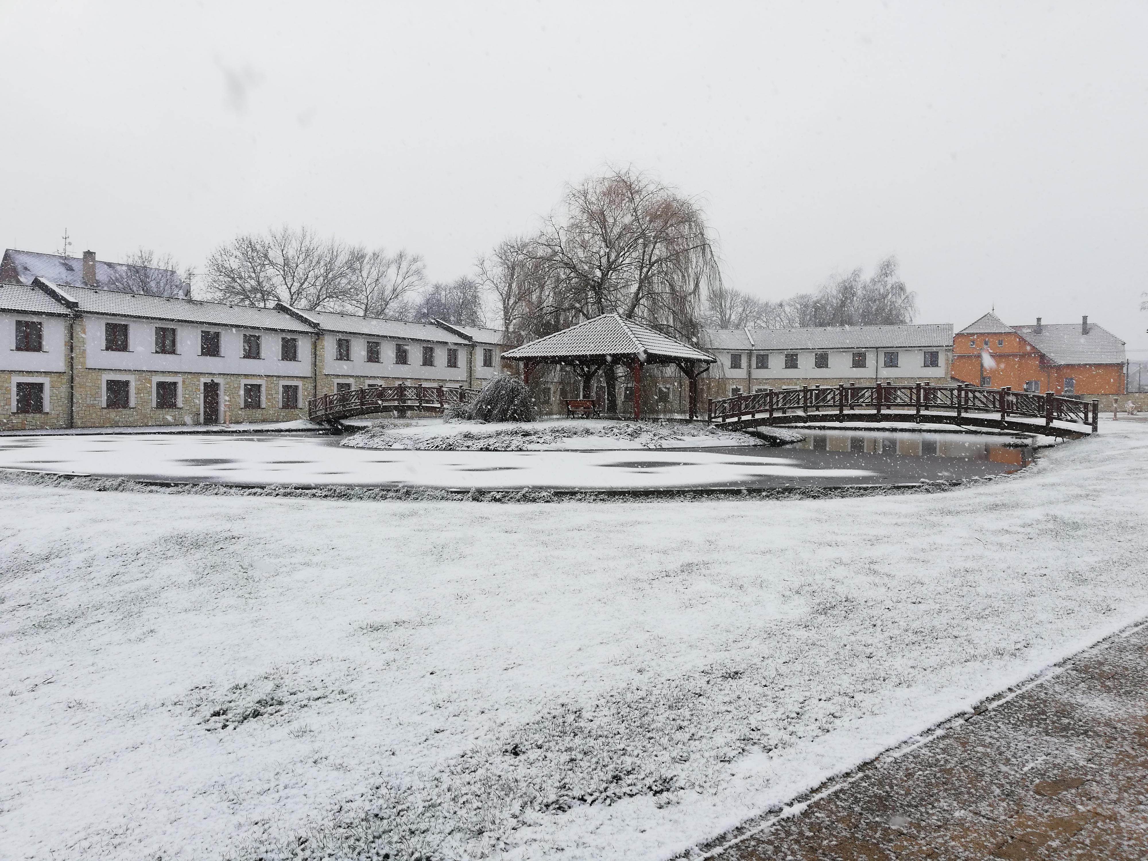 Hotel Lions - školící středisko Nesuchyně foto 5