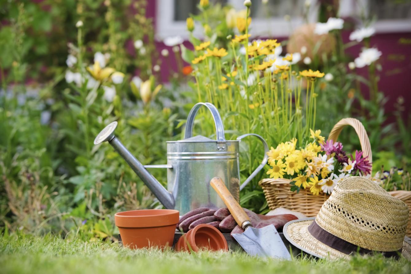 Zahradnictví Na Statku, s.r.o.