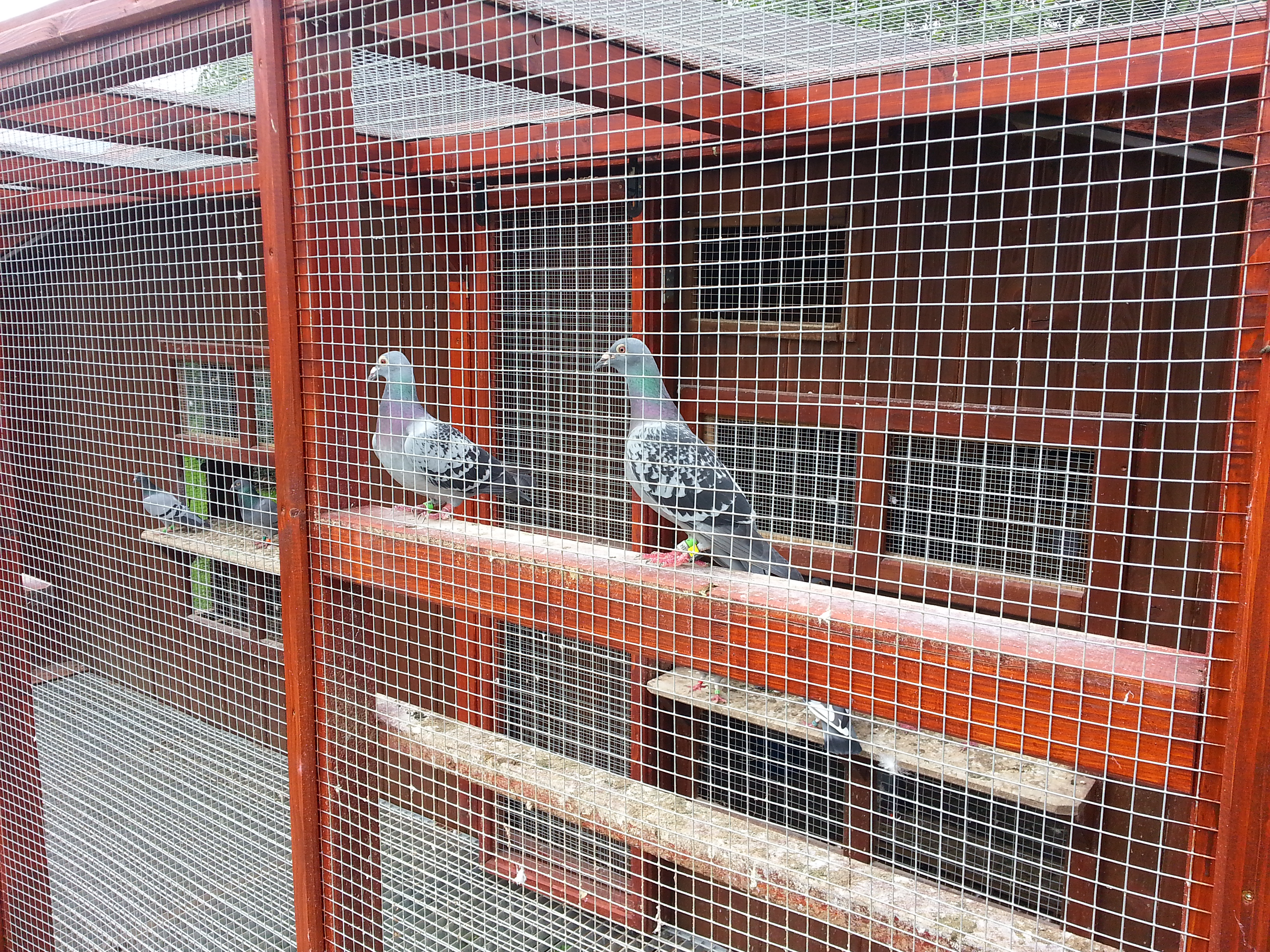 Králičí svět - MIFUMA.CZ foto 4