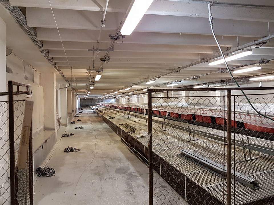 František Zavadil foto 2