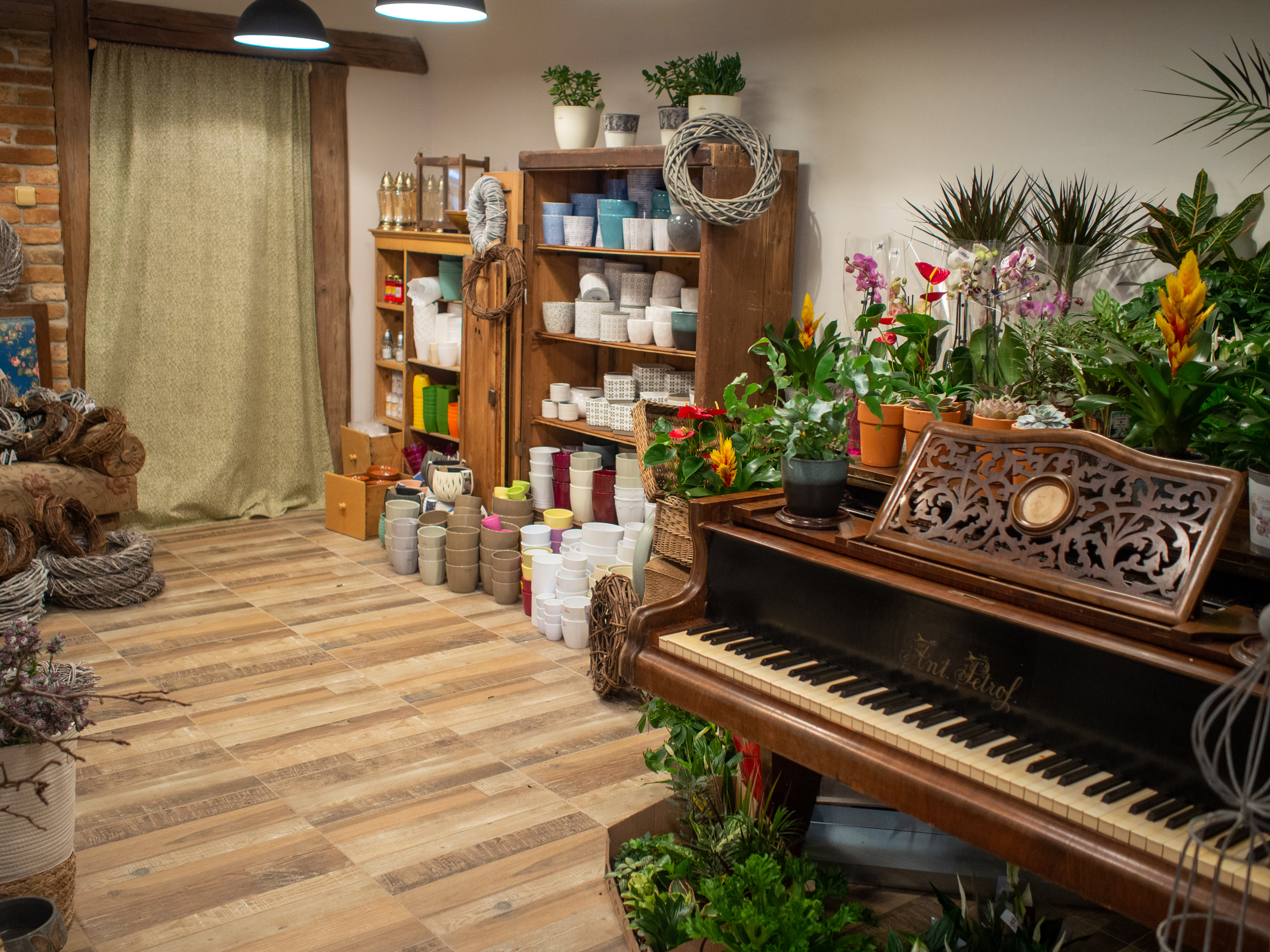 Kytkárna Chotěboř - květinářství foto 6