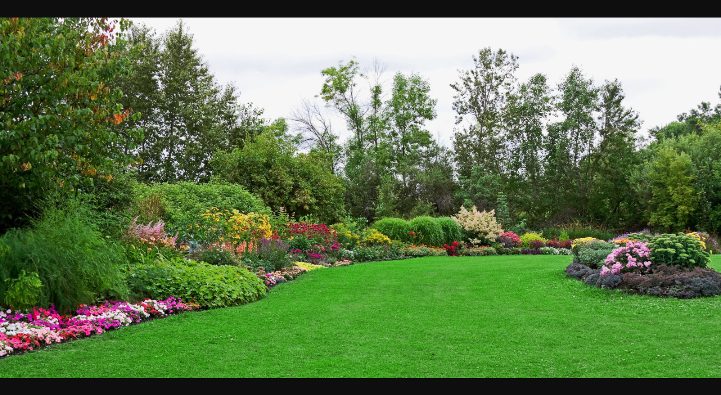 ALFA Security Group, s.r.o. foto 2