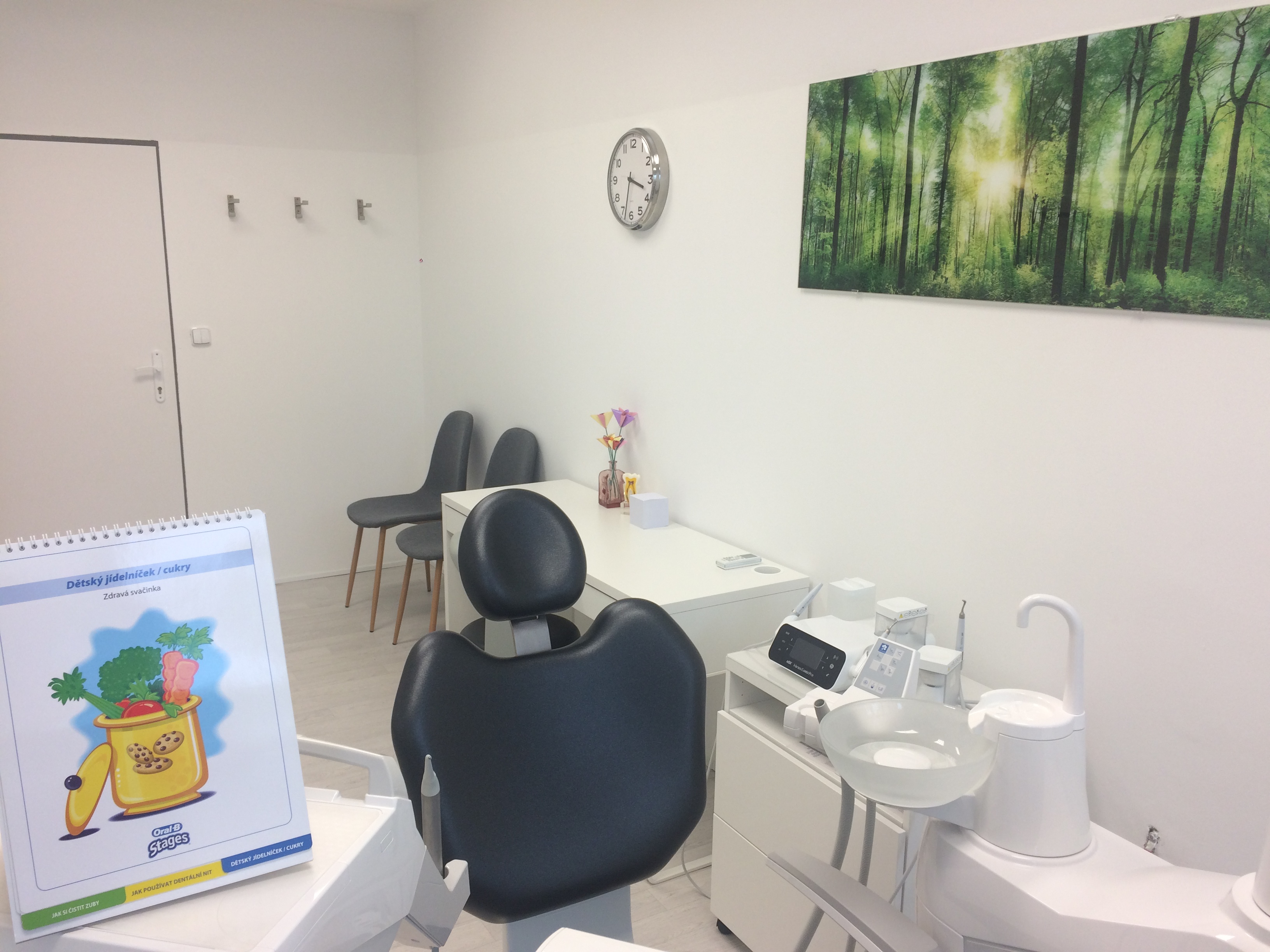 Dentální hygiena Šárka Wilhelmová, DiS. foto 3