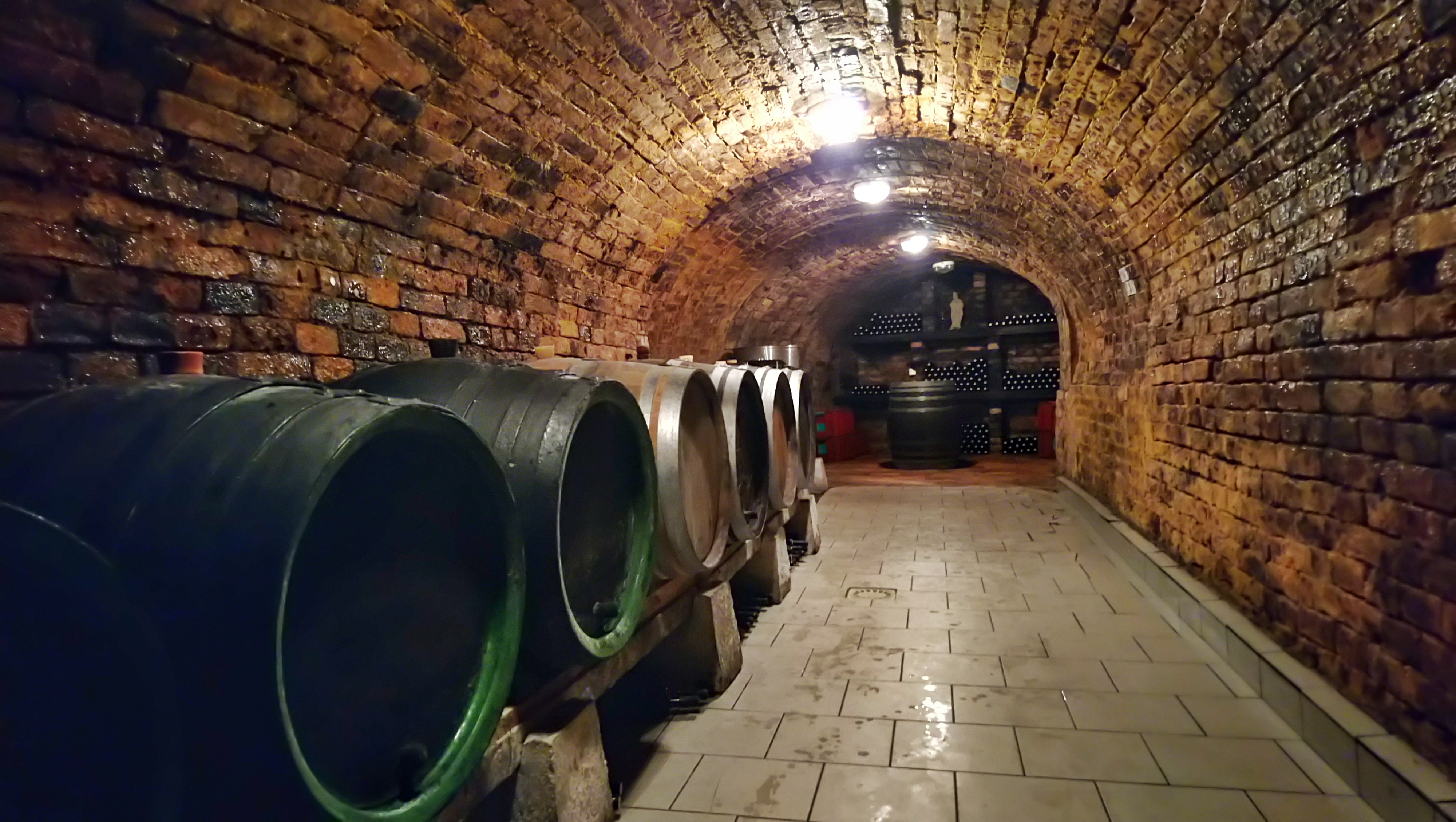 Vinný sklípek Na Vyhlídce foto 2