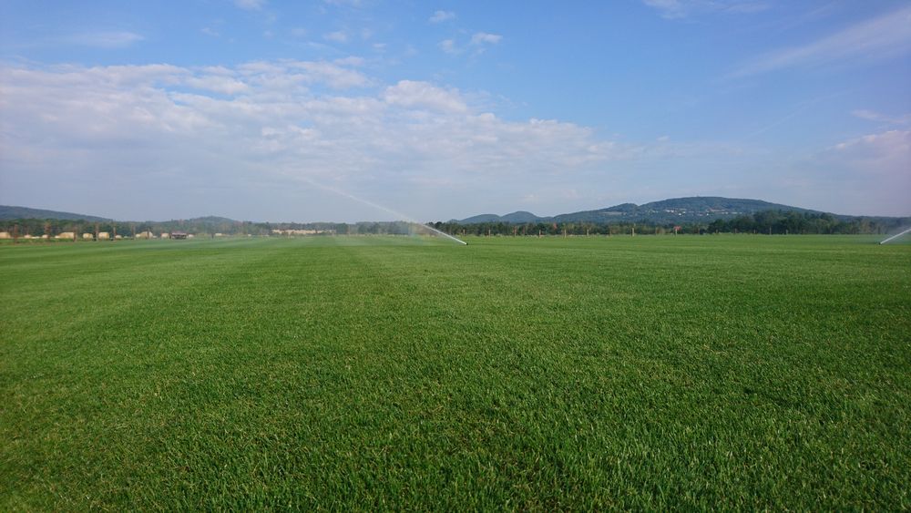 Travní koberce - Petr Mareček foto 5