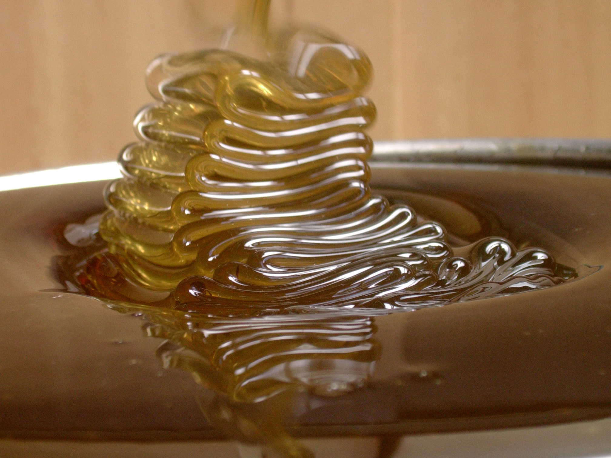 Petr Příkazský foto 2