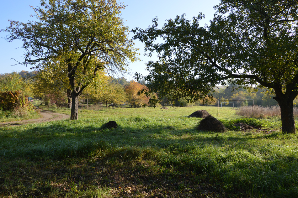 Lesní mateřská školka Radovánky