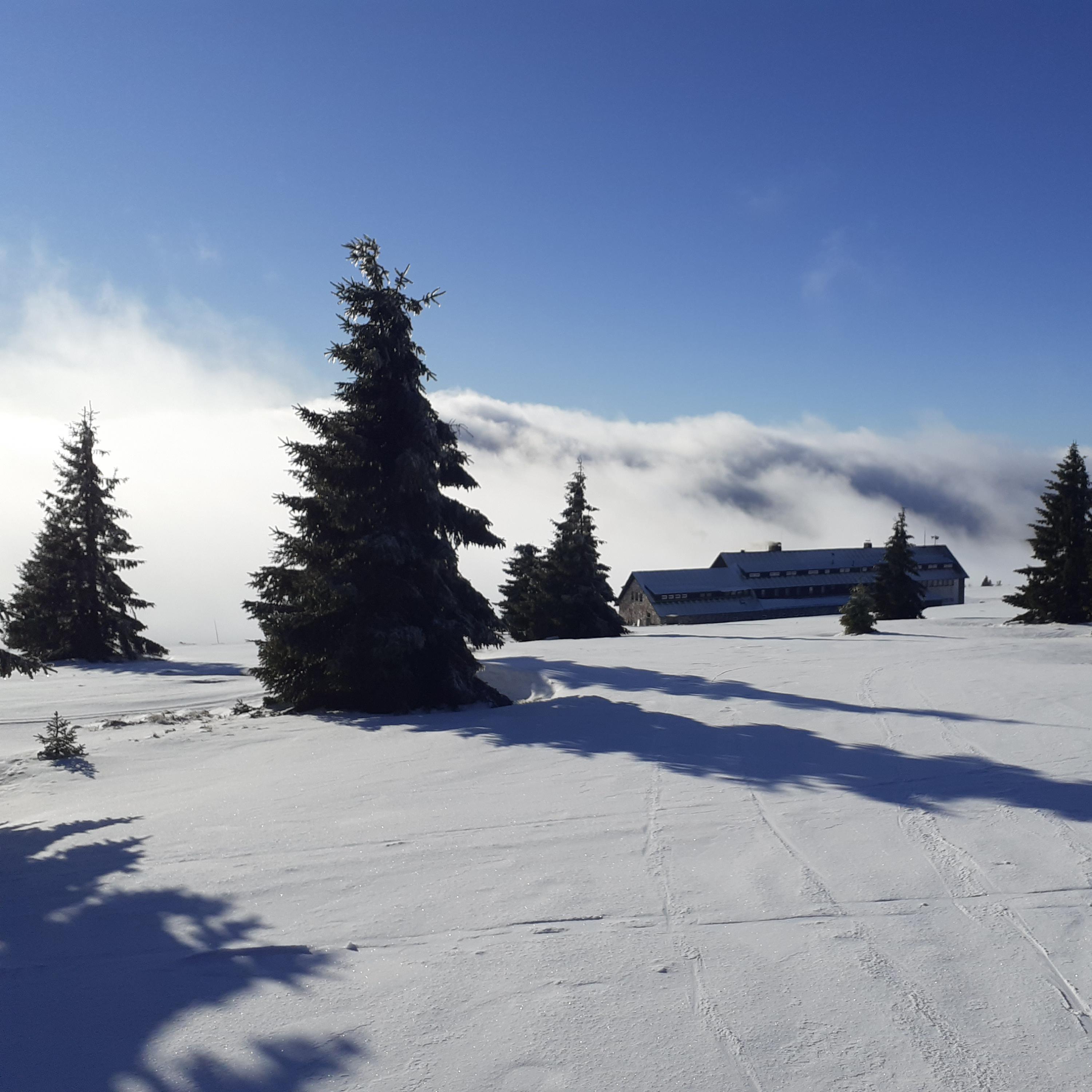 Dvorská Bouda - restaurace foto 4