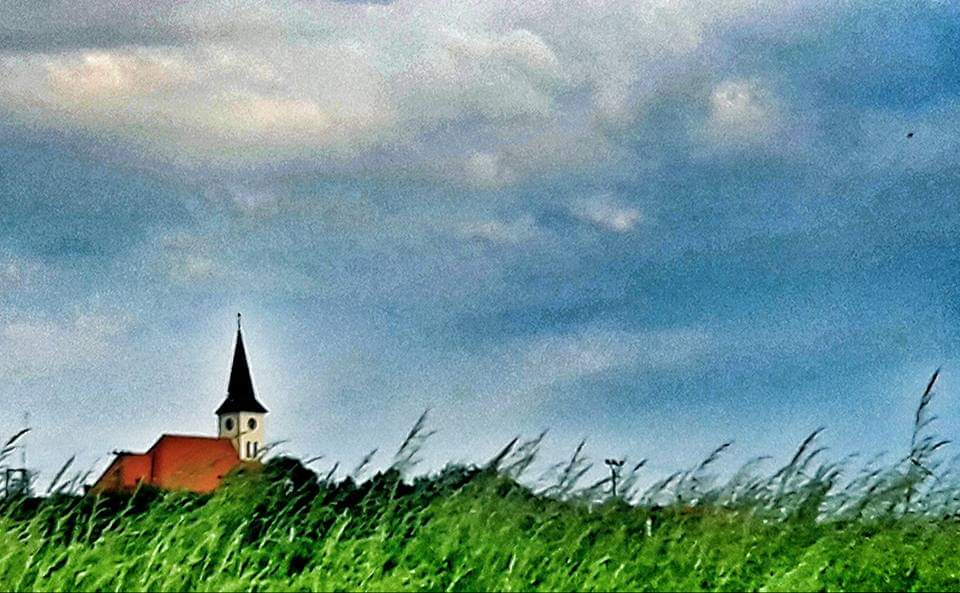 U TŘÍ RŮŽÍ - penzion & vinný sklep foto 5