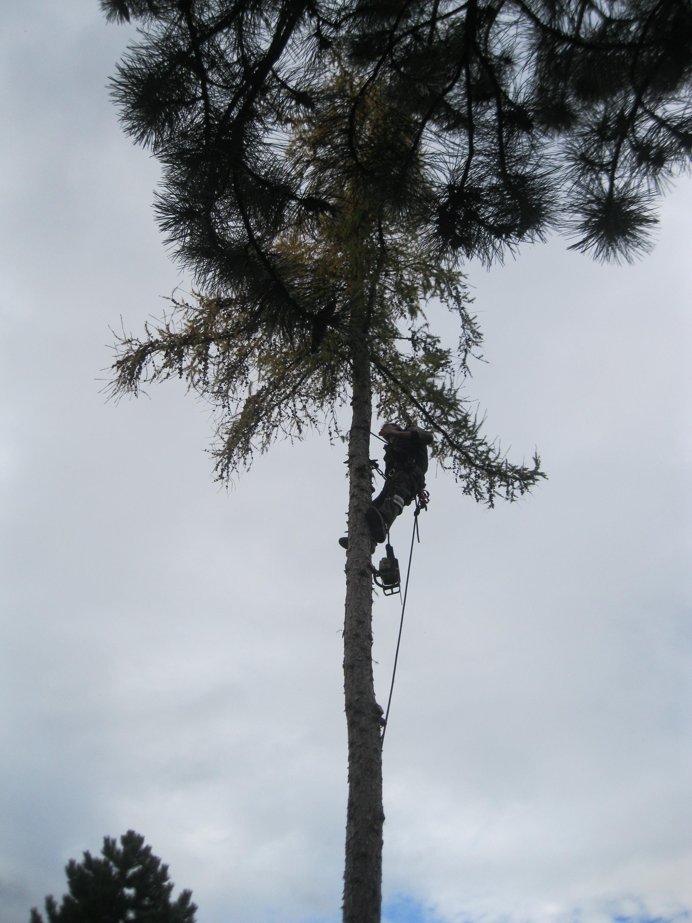 Výškové práce jižní Čechy foto 4