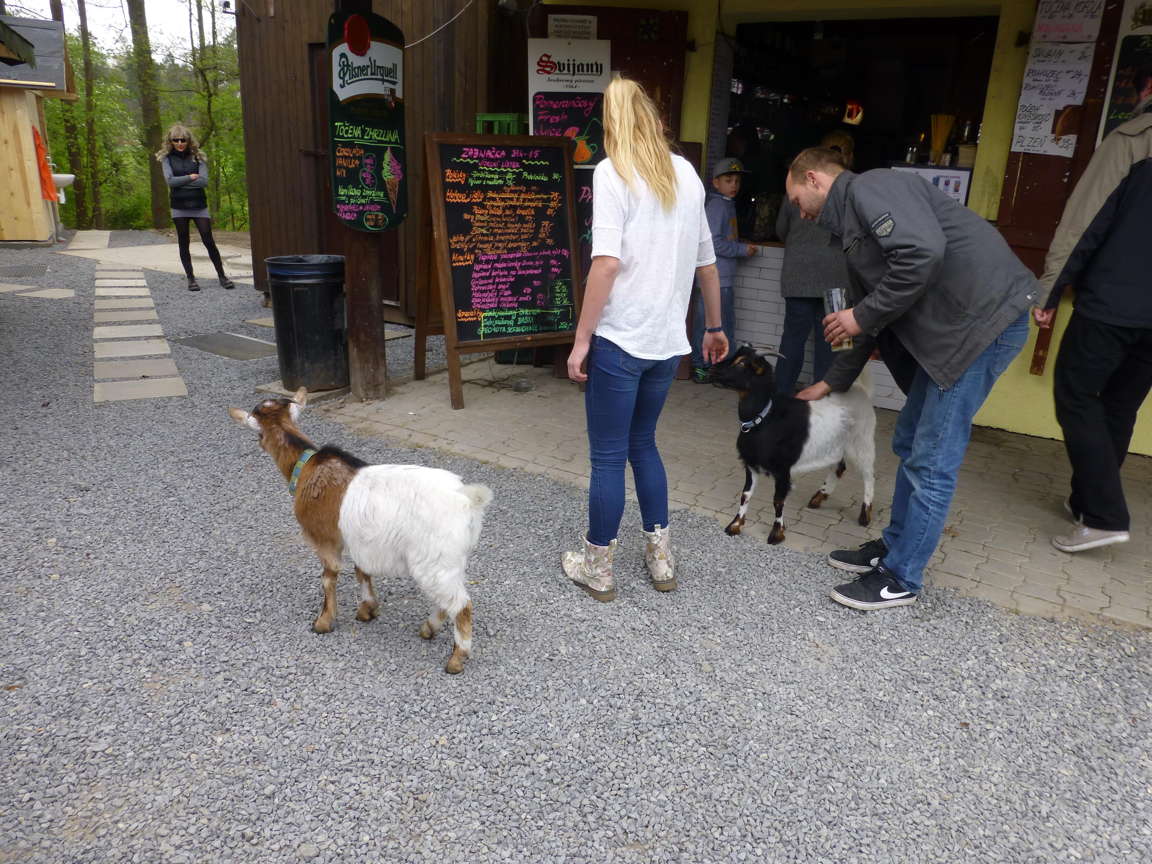 Kiosek u rybníka foto 4