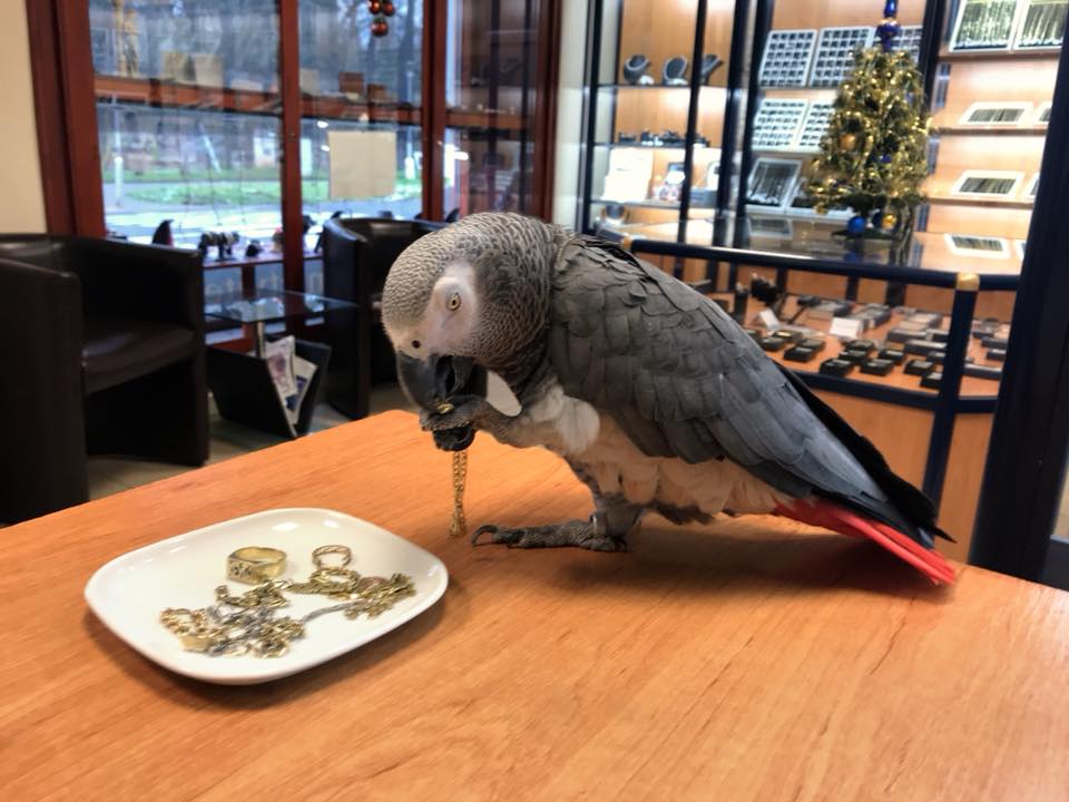 Zlatnictví u Zámku foto 3