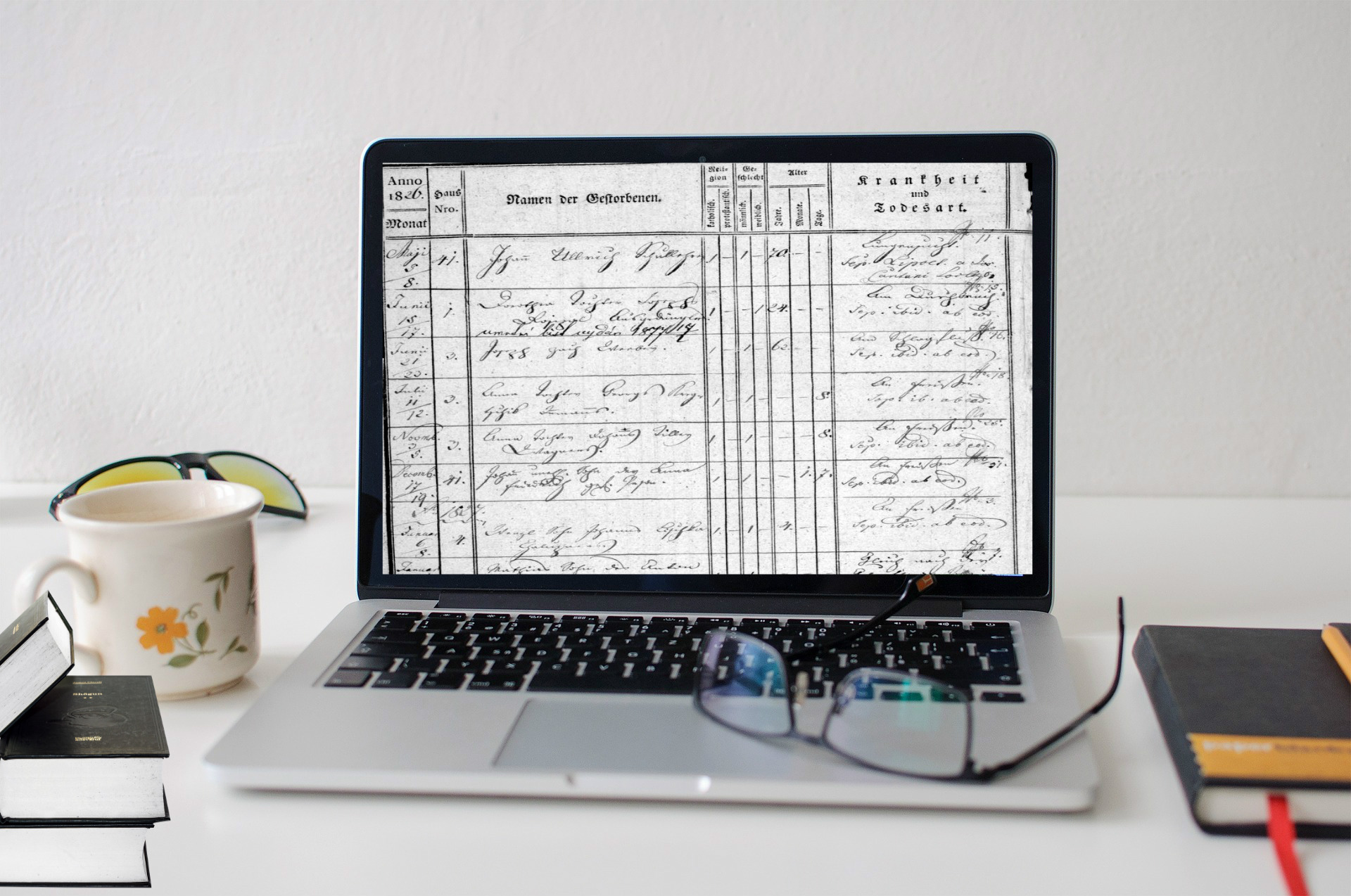 Jarmila Viplerová - Rodokmeny