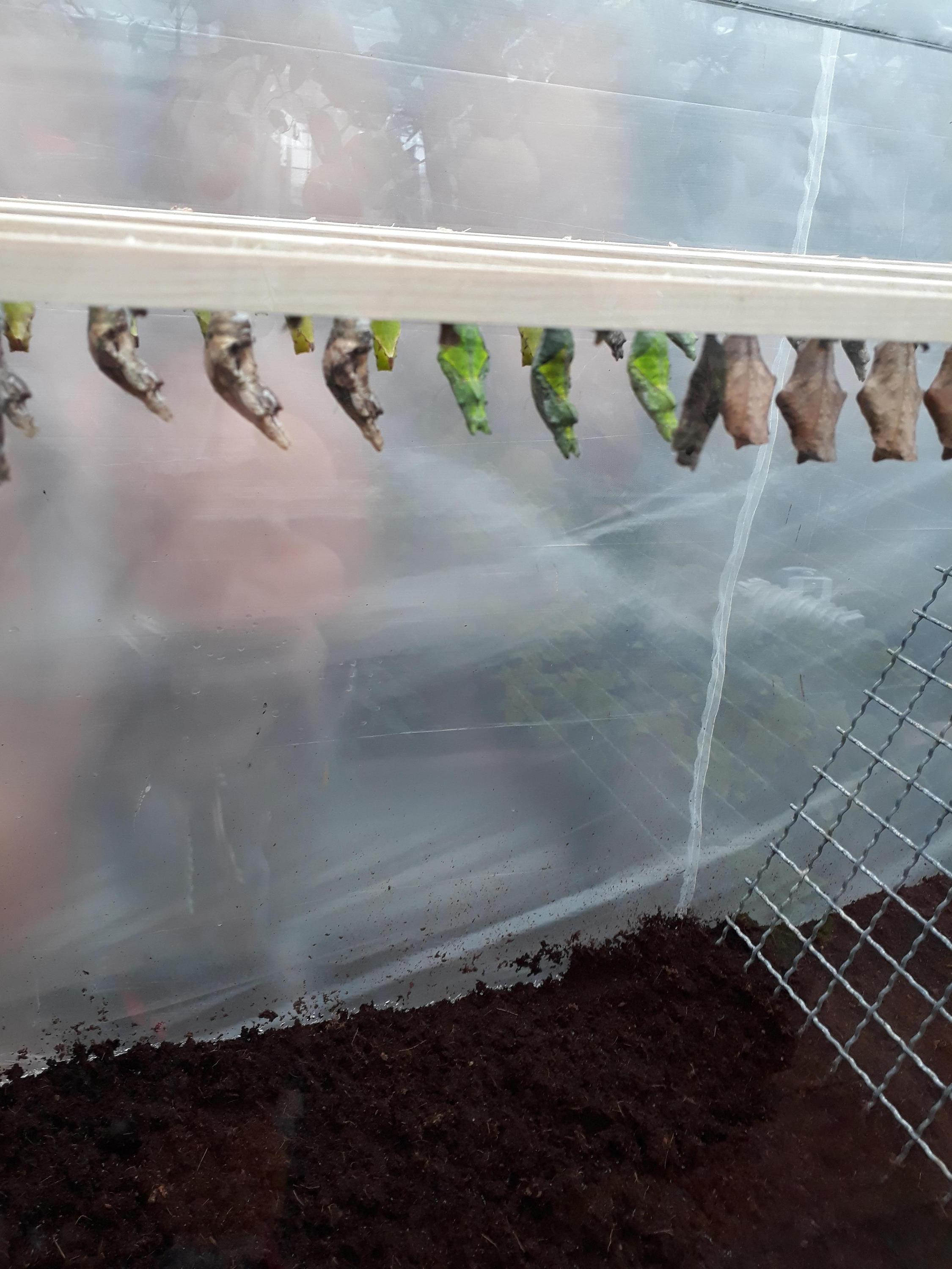 Zahradní centrum Florcenter Olomouc foto 5