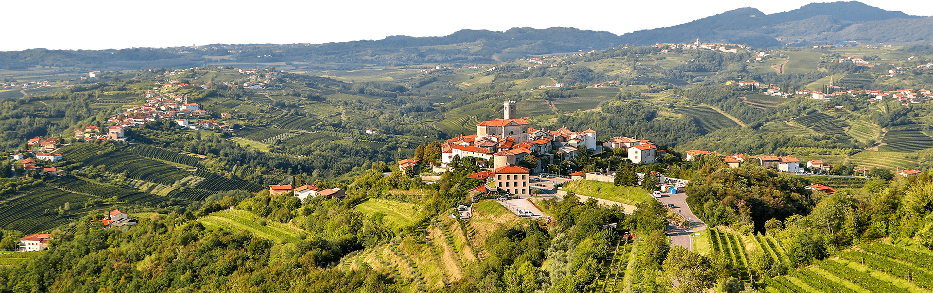 Skvele-Vino.cz foto 2