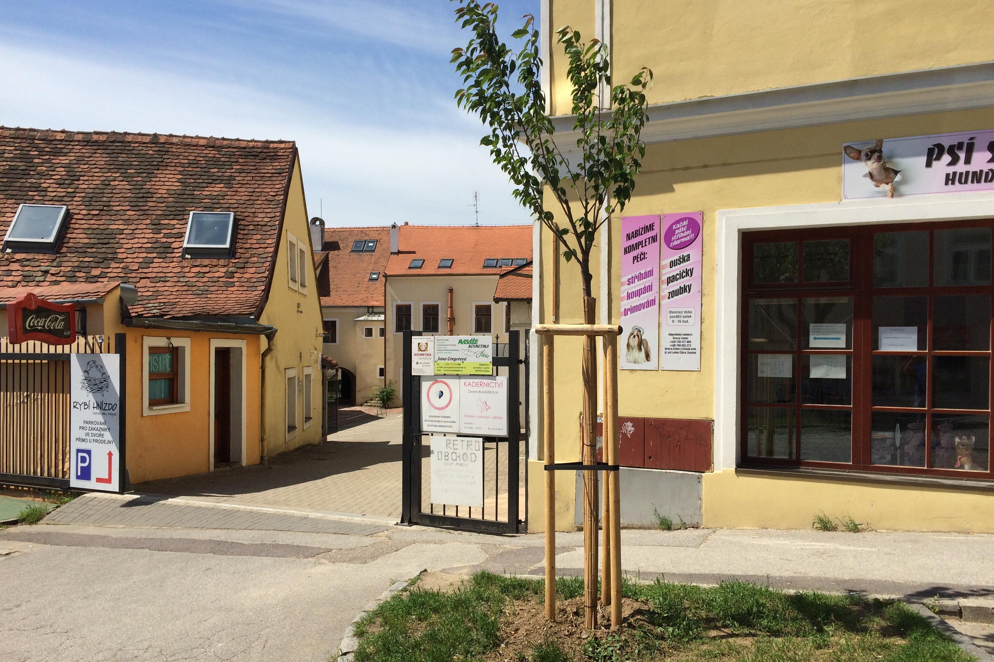 Žaneta Blahůšková