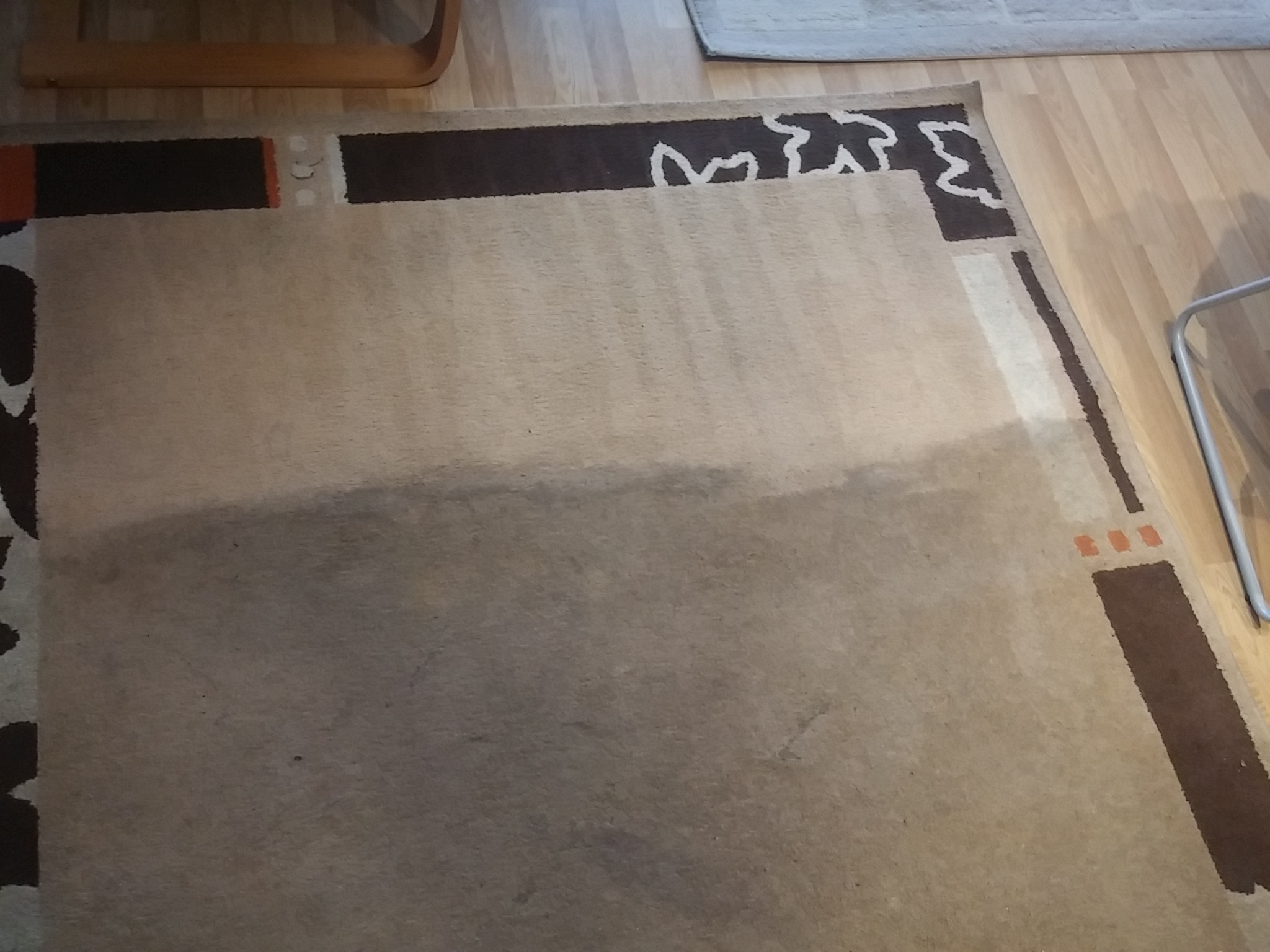 Boček - čištění koberců a sedaček foto 3