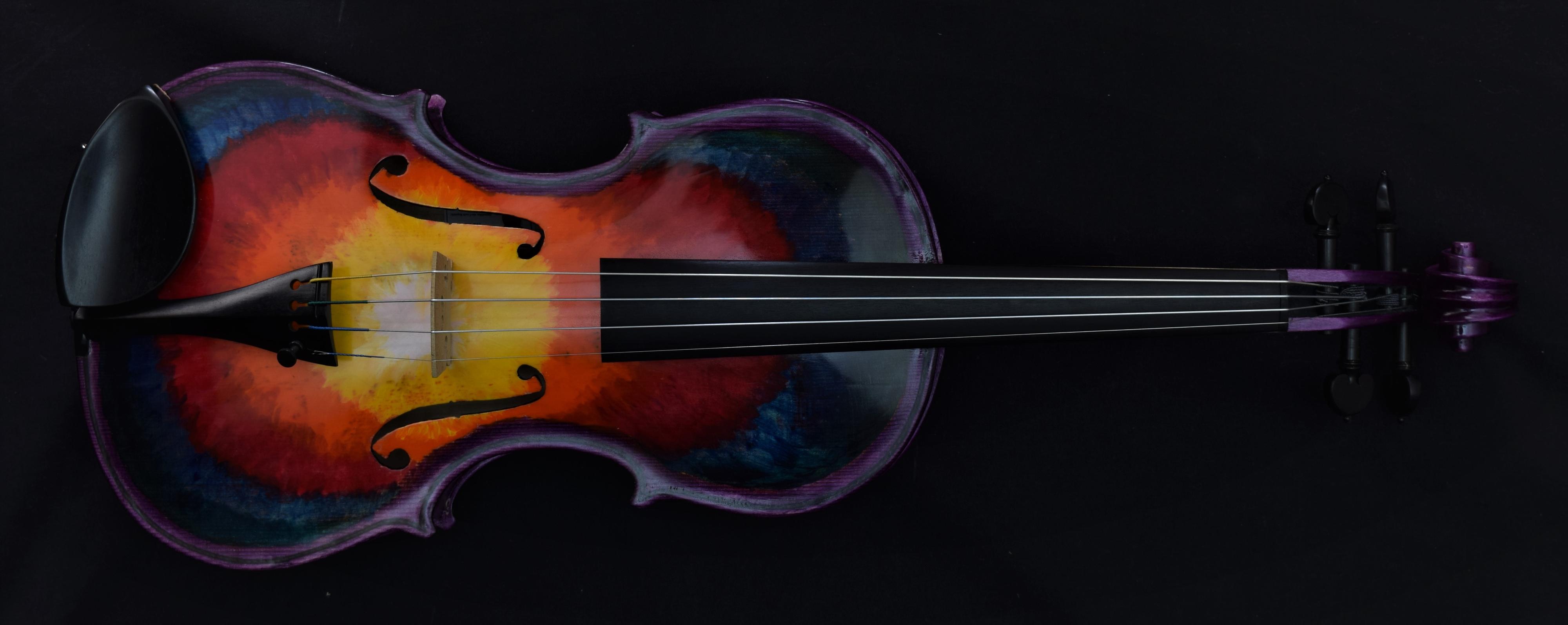 Jakub Hubáček - Houslařství a kytarářství foto 2