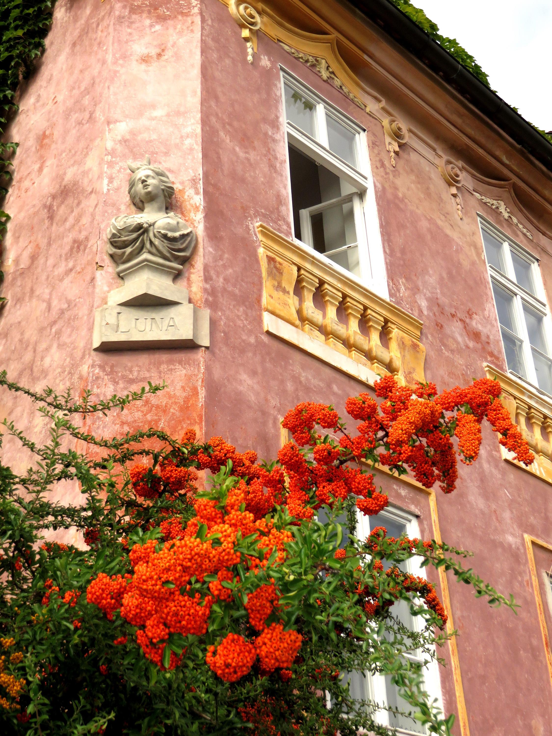 Galerie Josefa Sudka foto 4