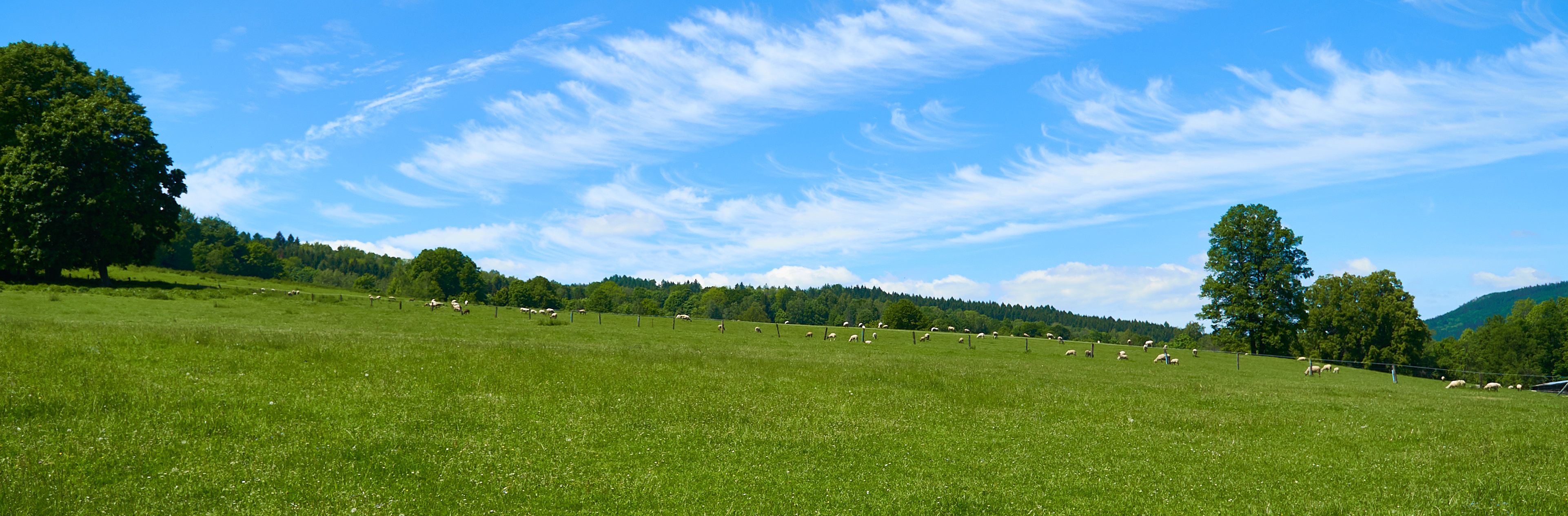 Penzion a restaurace Bobrovník foto 2