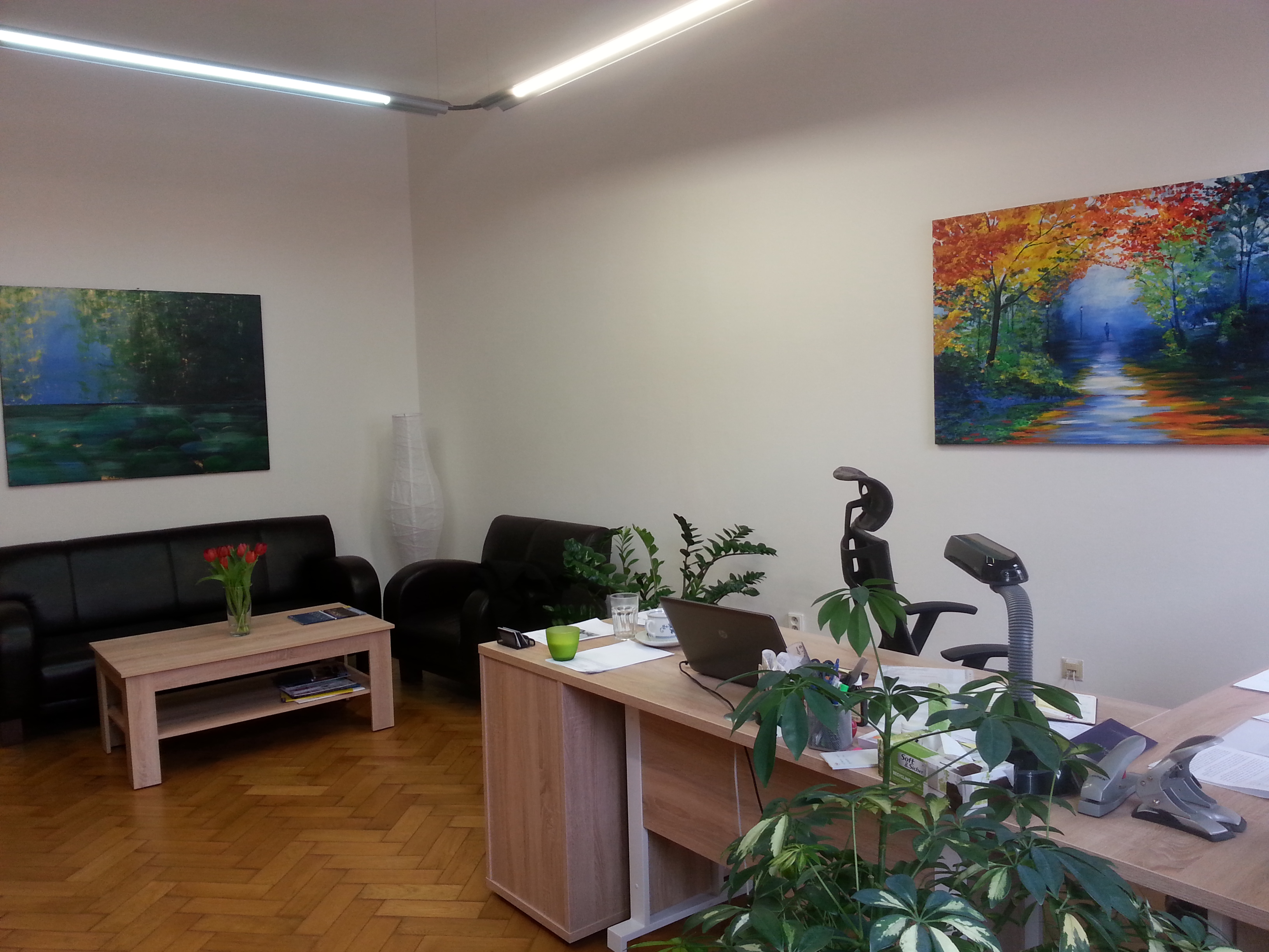 JUDr. Kateřina Dlouhá, advokátka foto 3