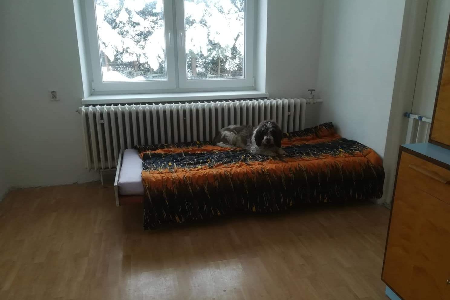 Hotel pro pejsky a jiná zvířata - Ivana Ondrušová