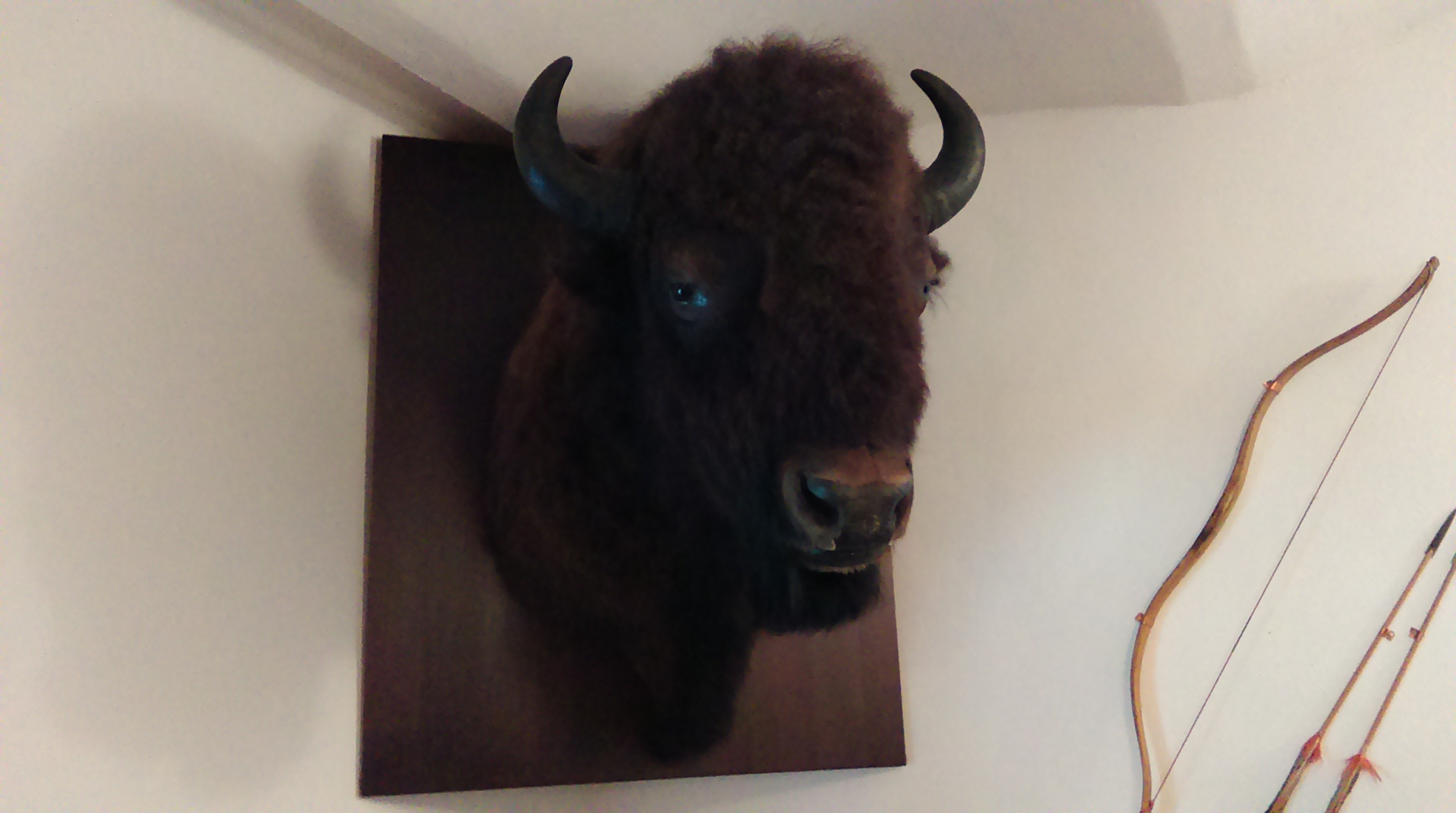 Restaurace Bison Ranch foto 4