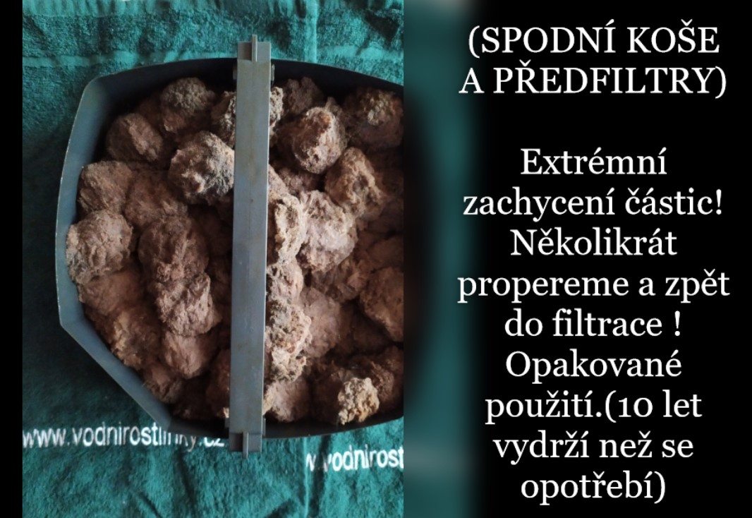 Vodnirostlinky.cz foto 2