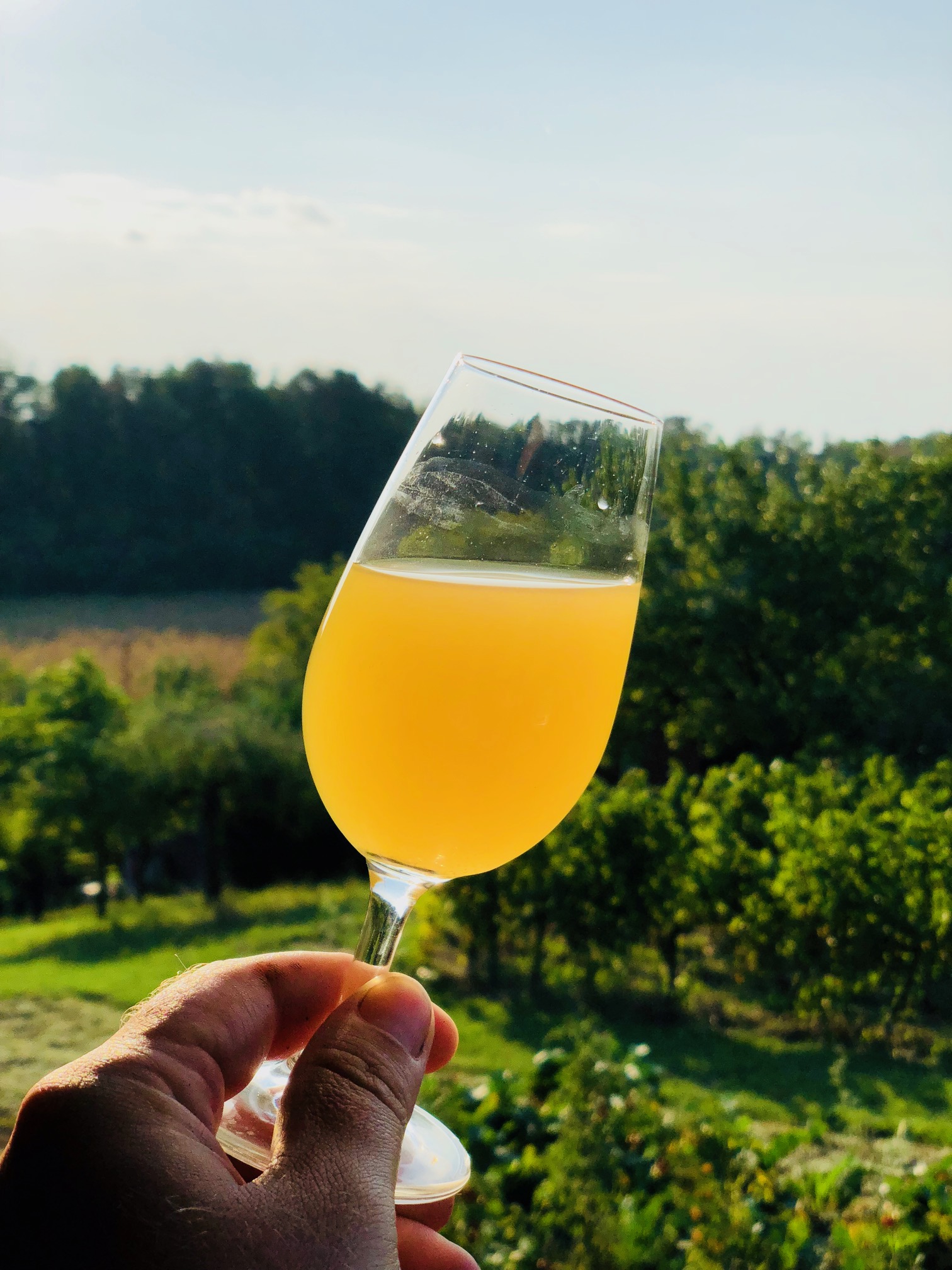 PolášekSochor vinařství