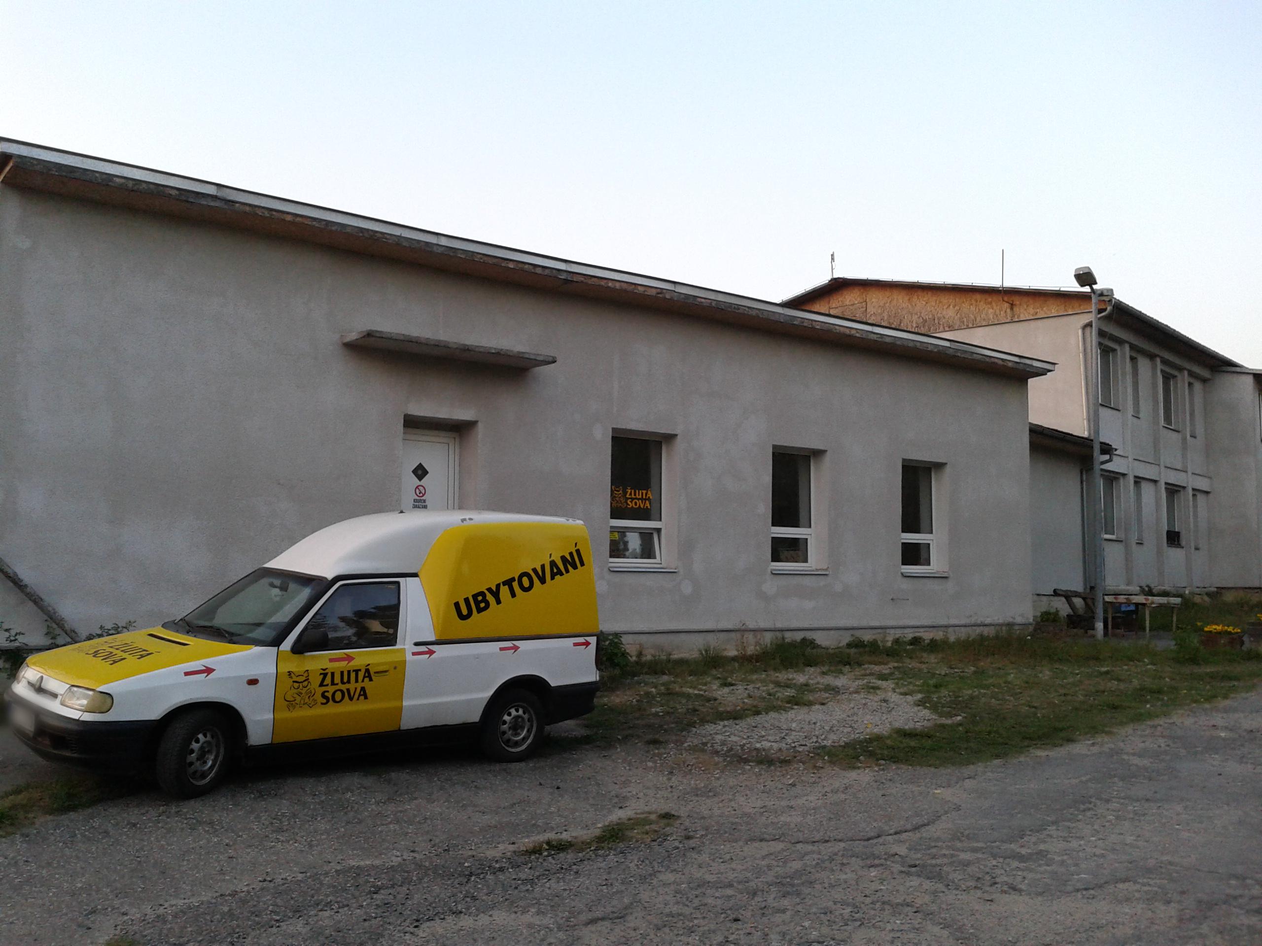 ŽLUTÁ SOVA foto 6