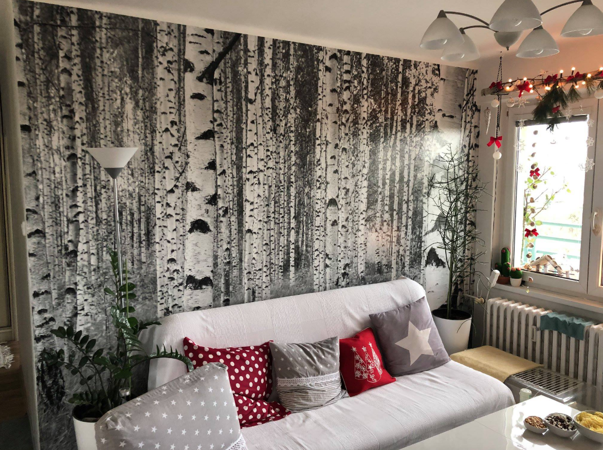 MALÍŘI NATĚRAČI CZ foto 5