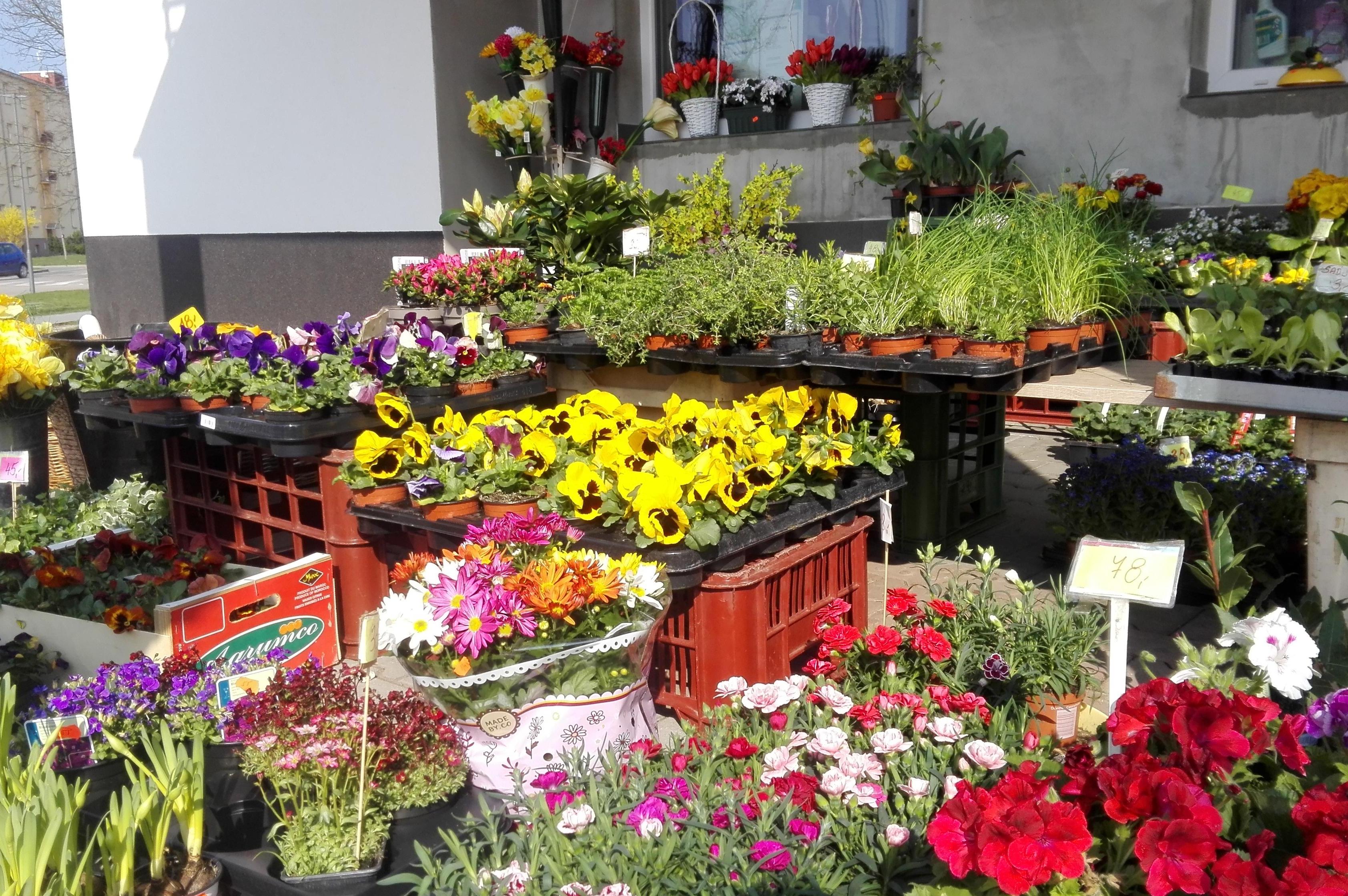 Květiny Iveta Uhlířová