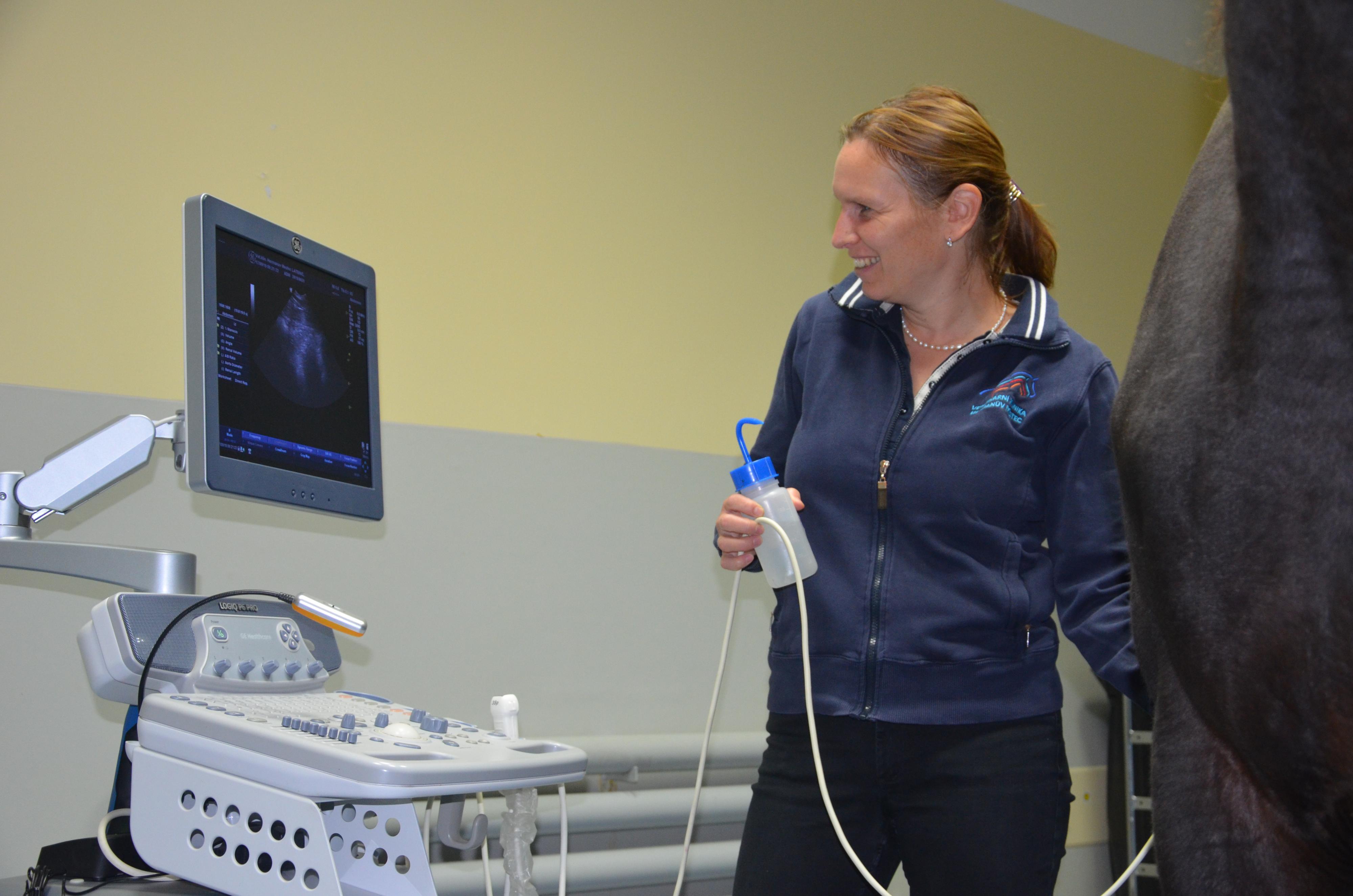 VETERINÁRNÍ KLINIKA HEŘMANŮV MĚSTEC foto 3