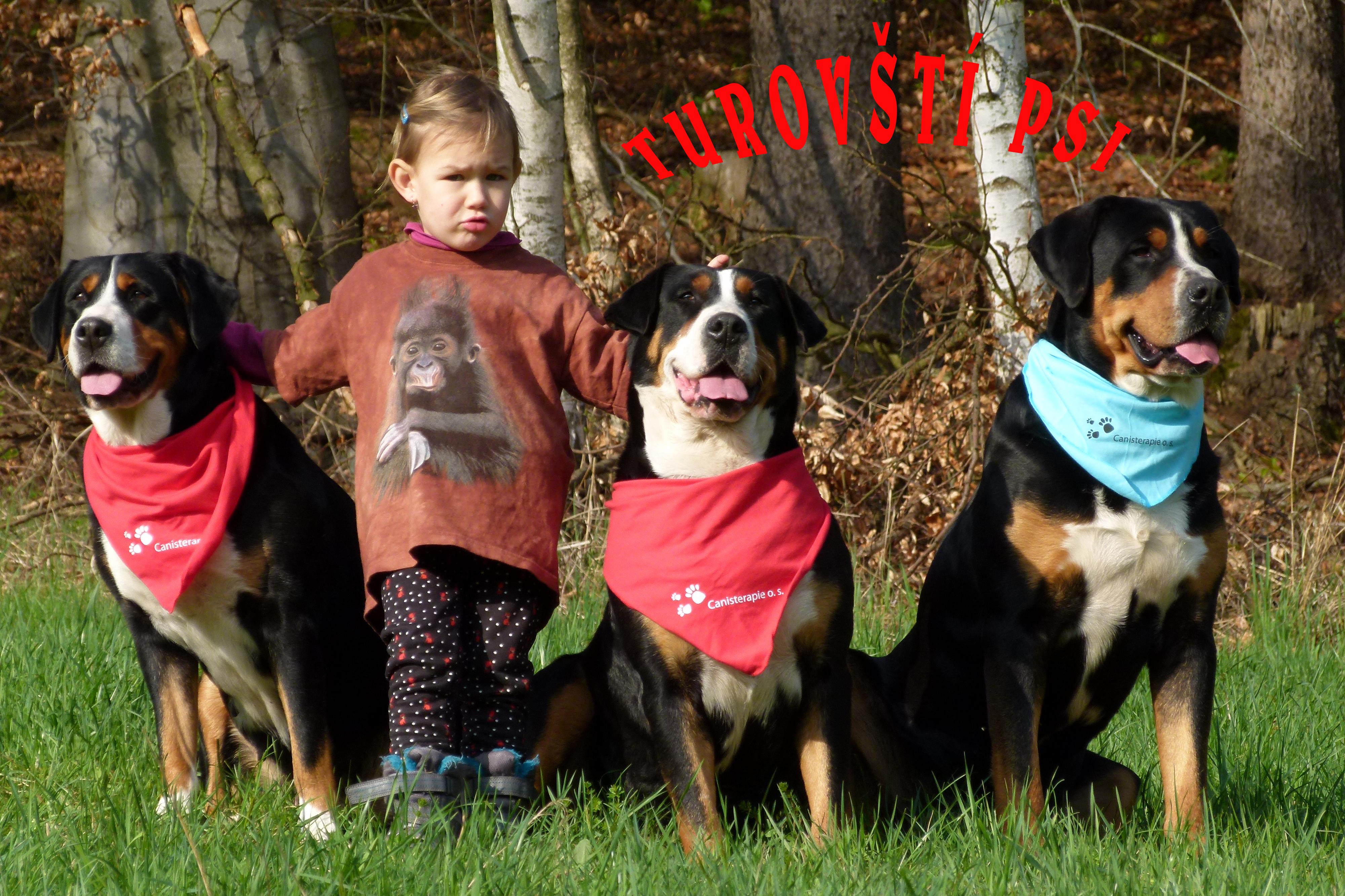TUROVŠTÍ PSI - chovatelská stanice foto 3