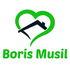 logo Boris Musil - realitní makléř pro Karlovy Vary a okolí