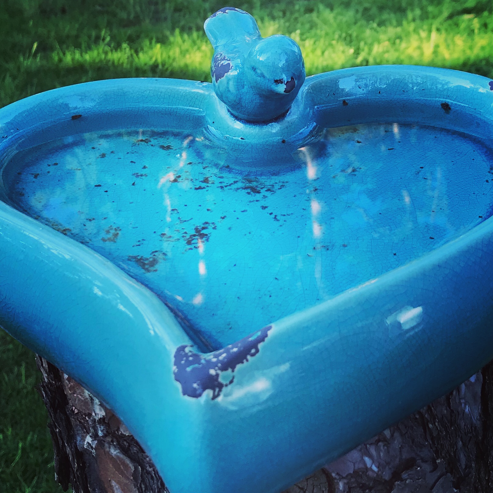 Blue Lake House Lhota foto 5