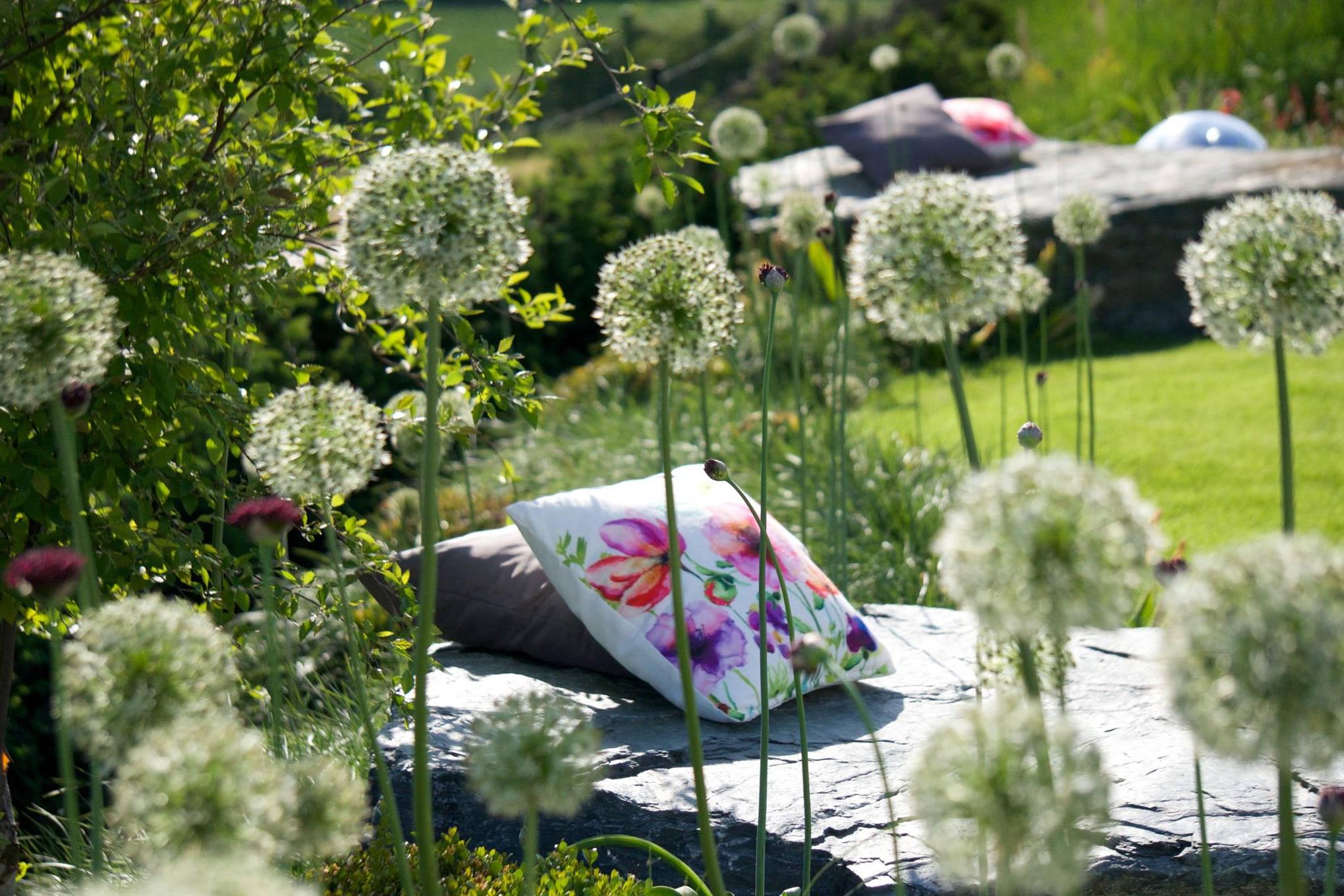 Jana Papoušková - Plant-art