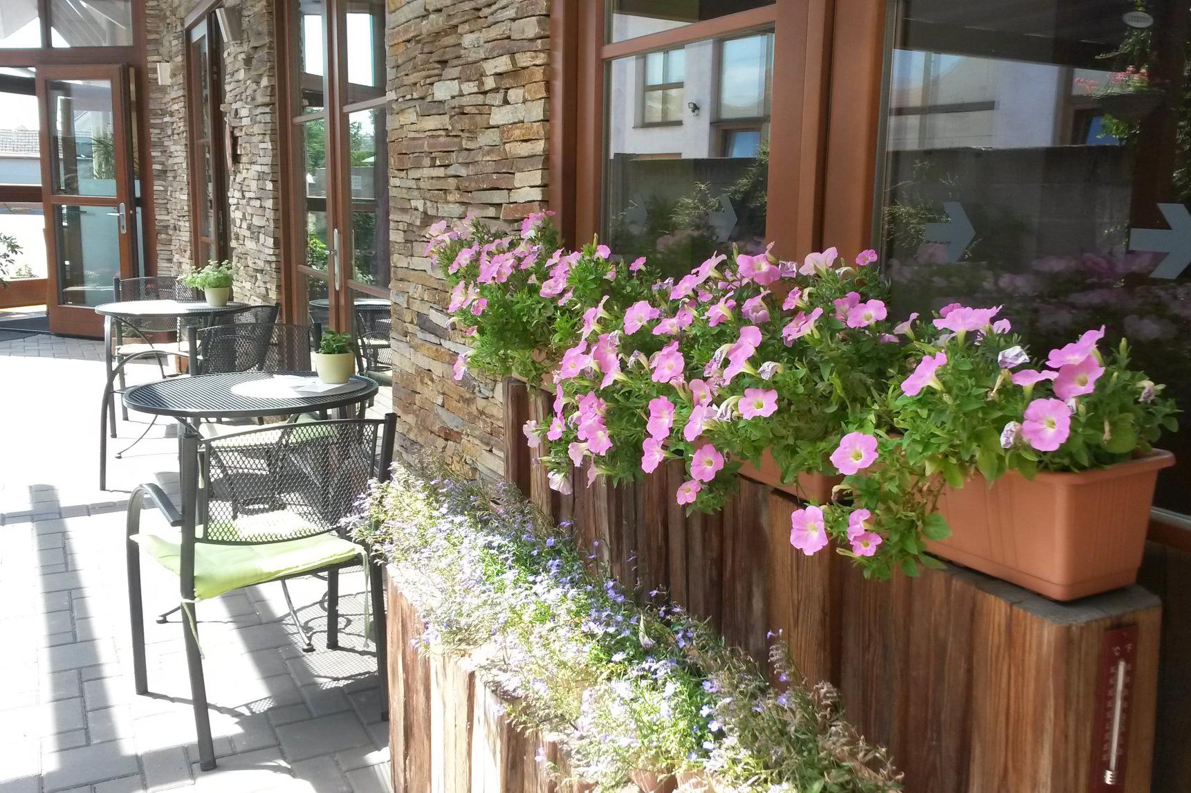 Abrahámova polévkárna