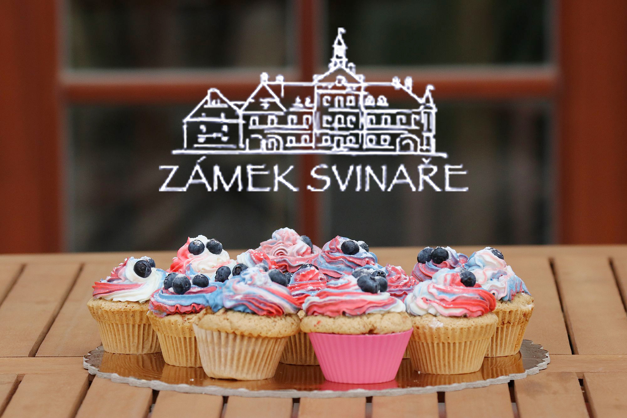 Zámecká restaurace zámek Svinaře foto 2